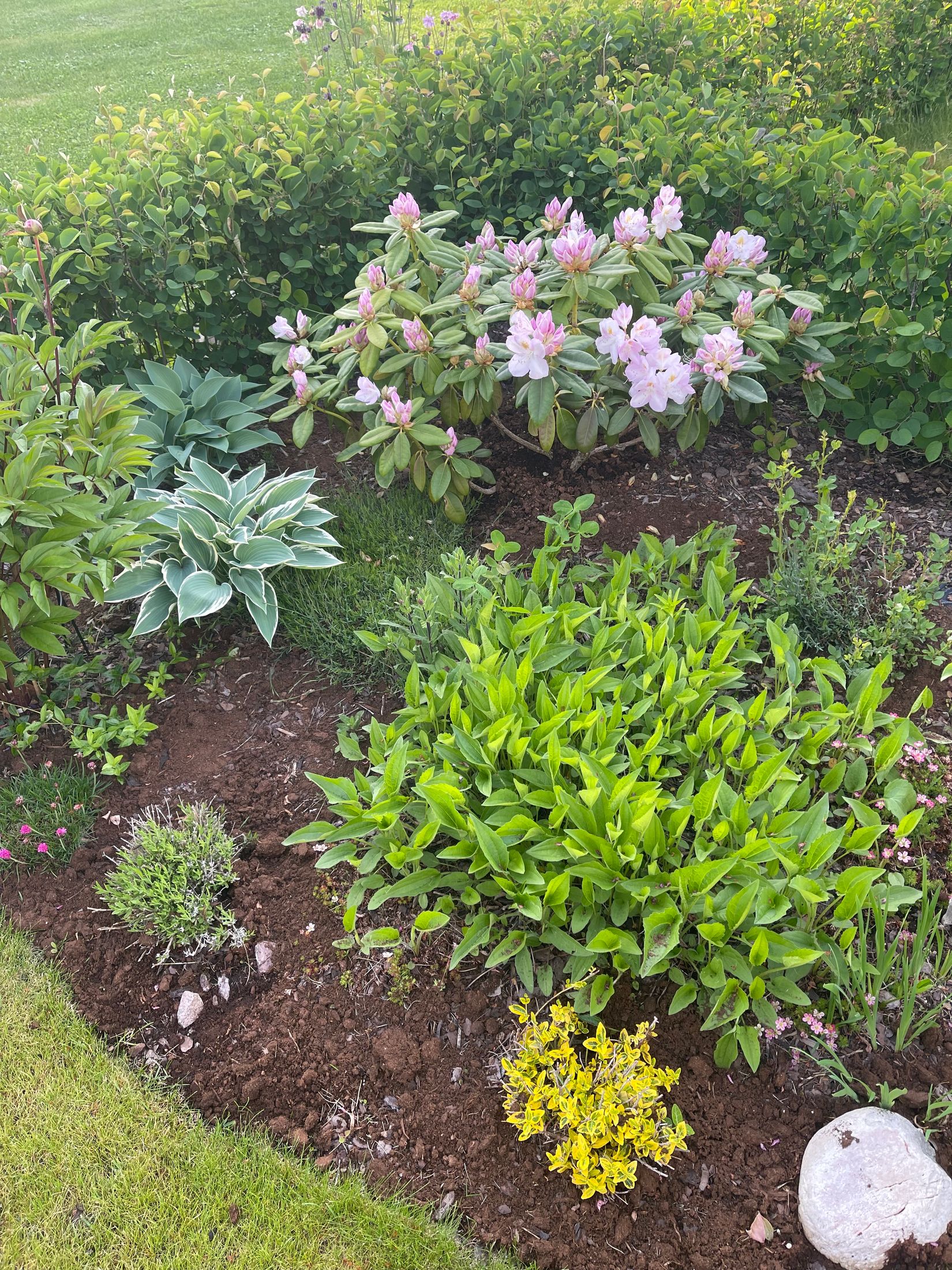 Bostadsrätt, Stadsträdgårdsgatan 14, Framnäs, Västerås