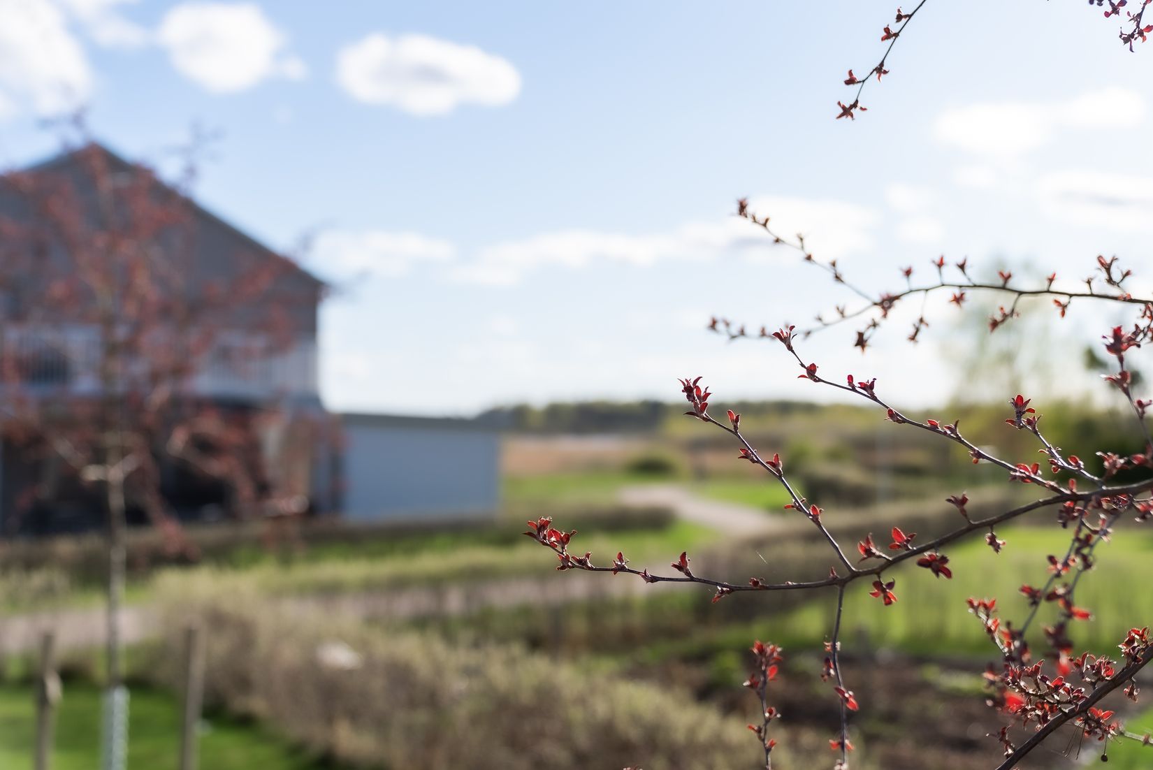 Bostadsrätt, Stadsträdgårdsgatan 14, Framnäs, Västerås