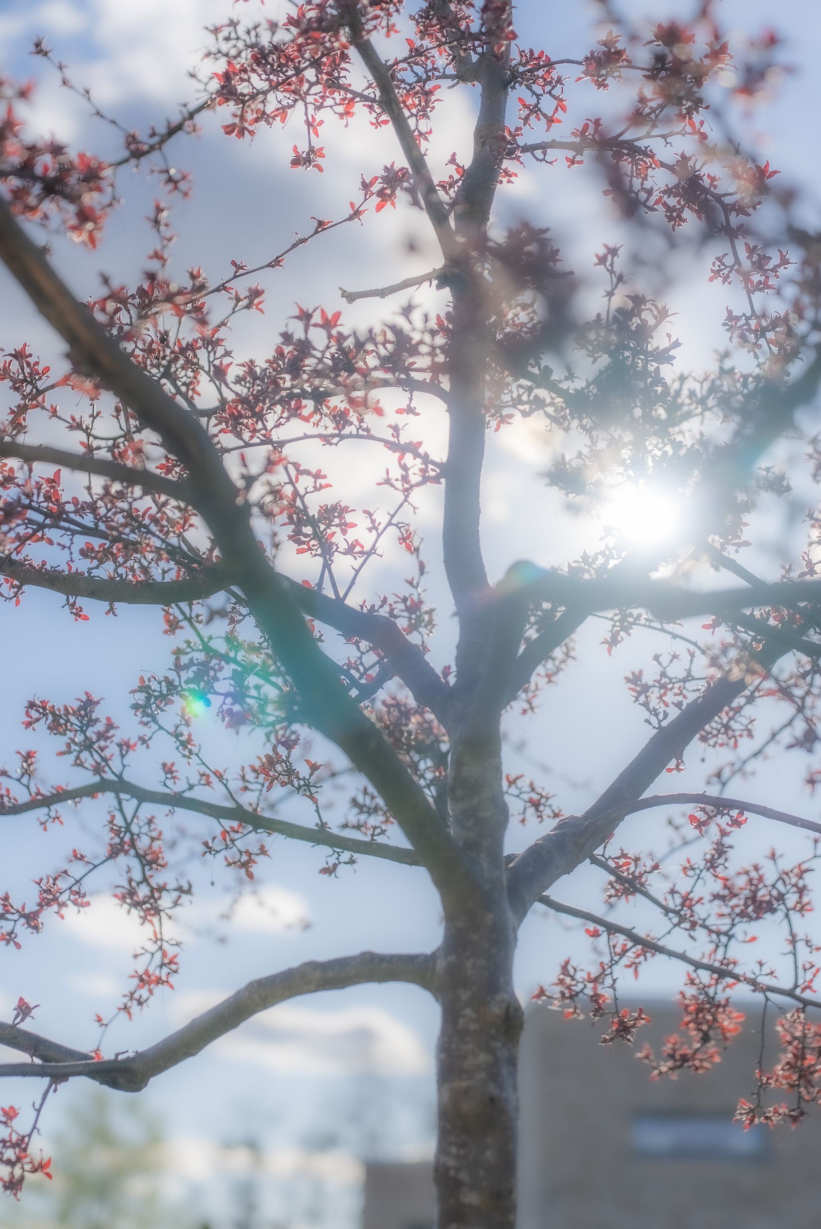 Bostadsrätt, Stadsträdgårdsgatan 14, Framnäs, Västerås