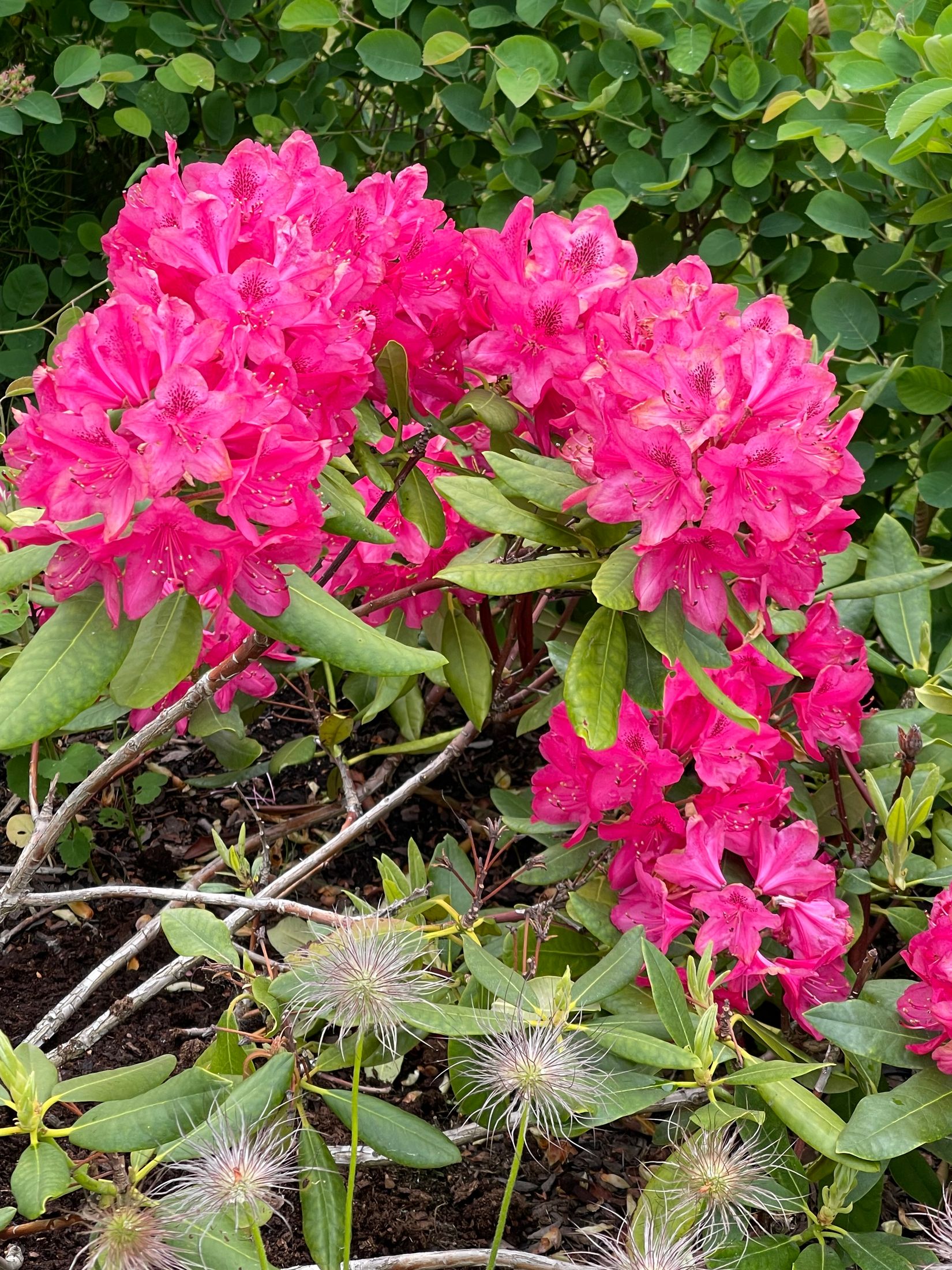 Bostadsrätt, Stadsträdgårdsgatan 14, Framnäs, Västerås