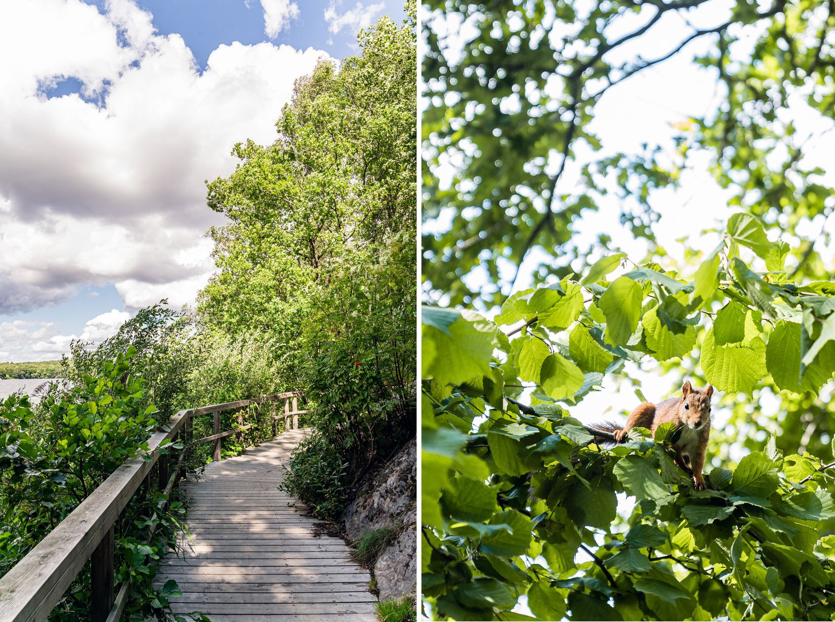 Bostadsrätt, Ålgrytevägen 31, Bredäng / Mälarhöjden, Stockholm