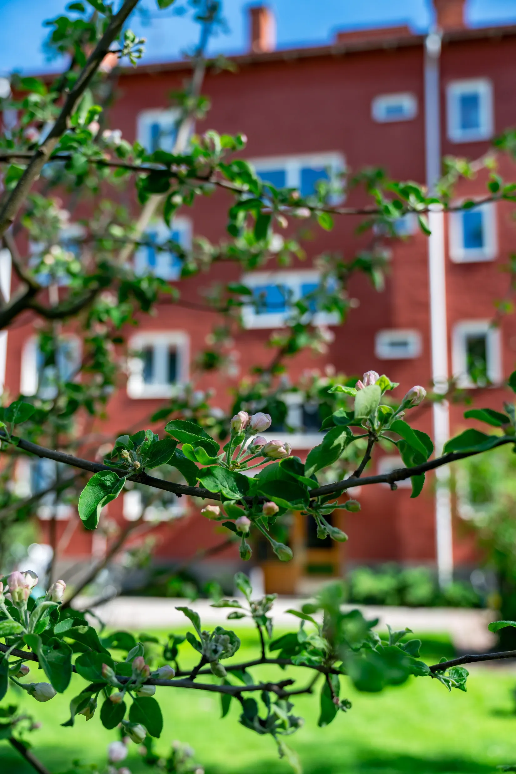 Bostadsrätt, S:t Olofsgatan 62A, Höganäs, Uppsala