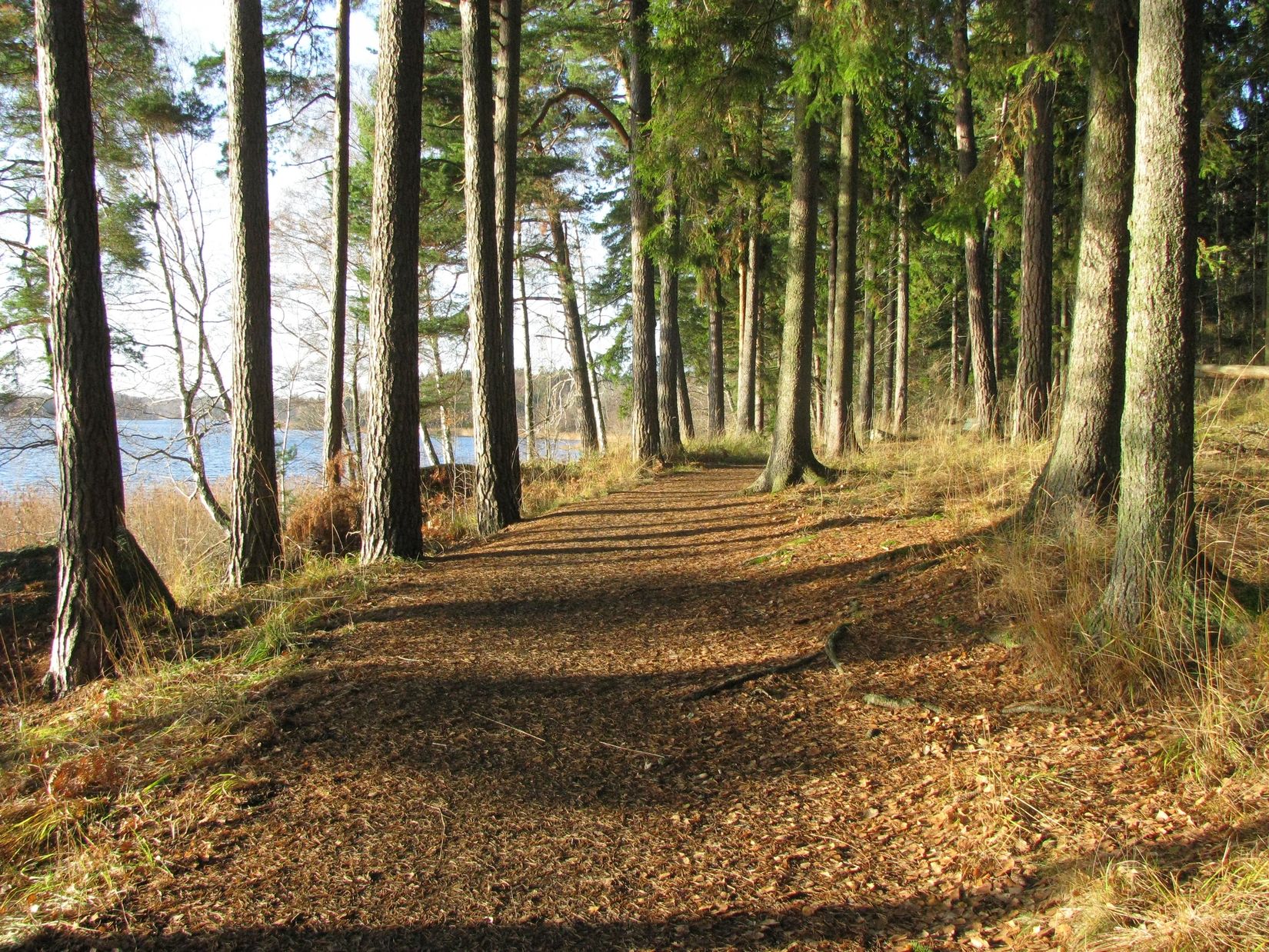 Tomt, Sjöliden 43D, Sjöängen, Huddinge