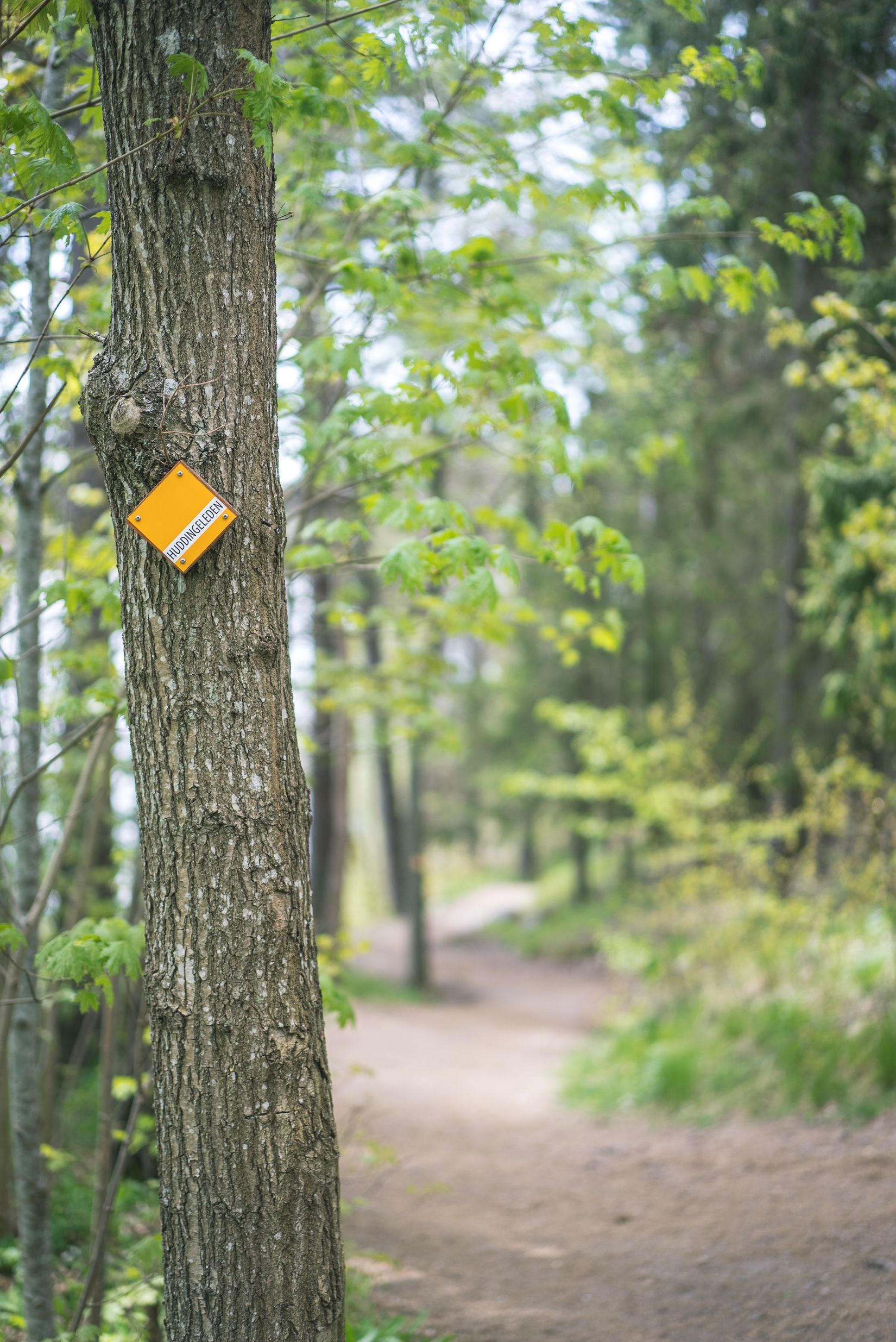 Tomt, Sjöliden 43D, Sjöängen, Huddinge