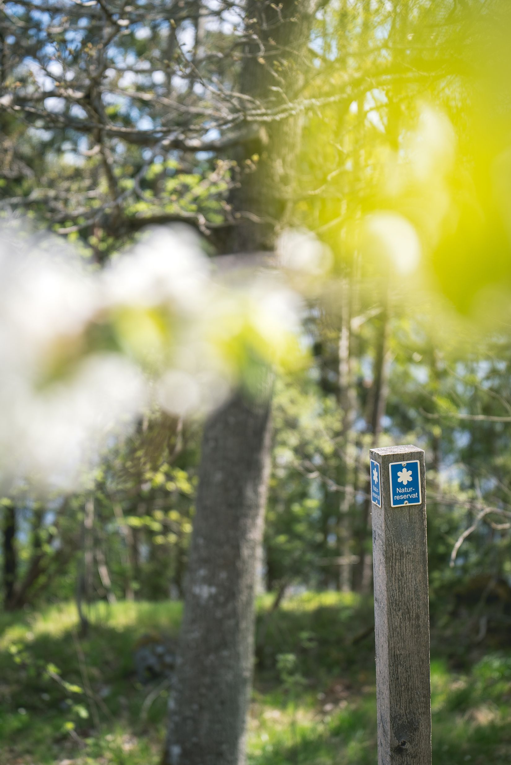 Tomt, Sjöliden 43D, Sjöängen, Huddinge