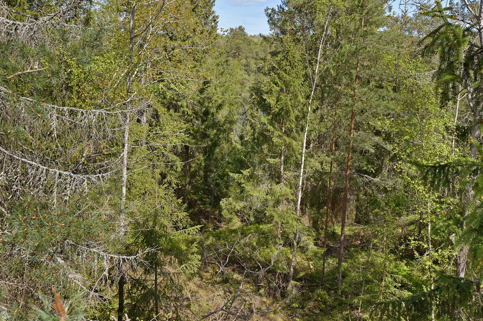 Tomt, Sjöliden 43D, Sjöängen, Huddinge