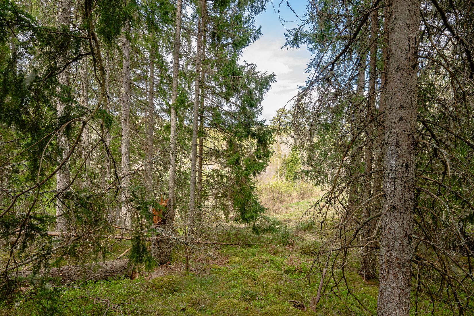 Tomt, Gnesta, Lantligt, Gnesta