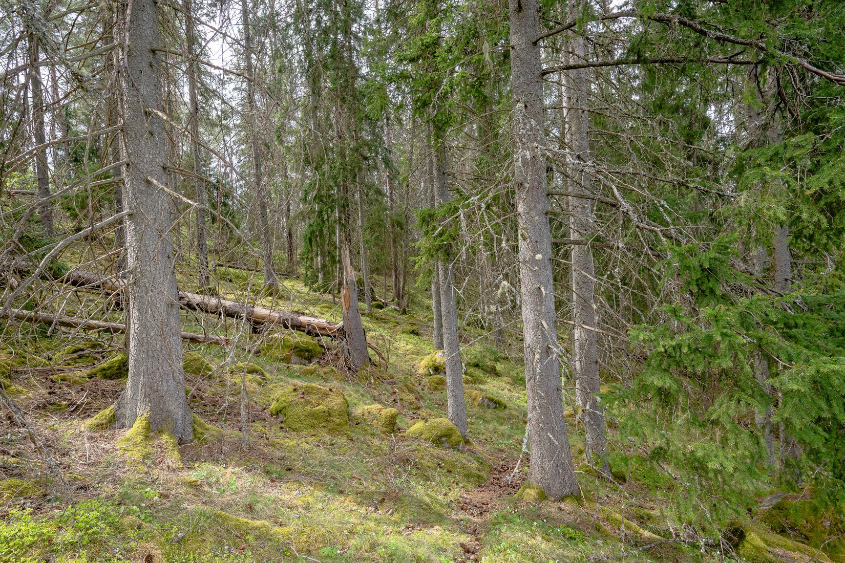 Tomt, Gnesta, Lantligt, Gnesta