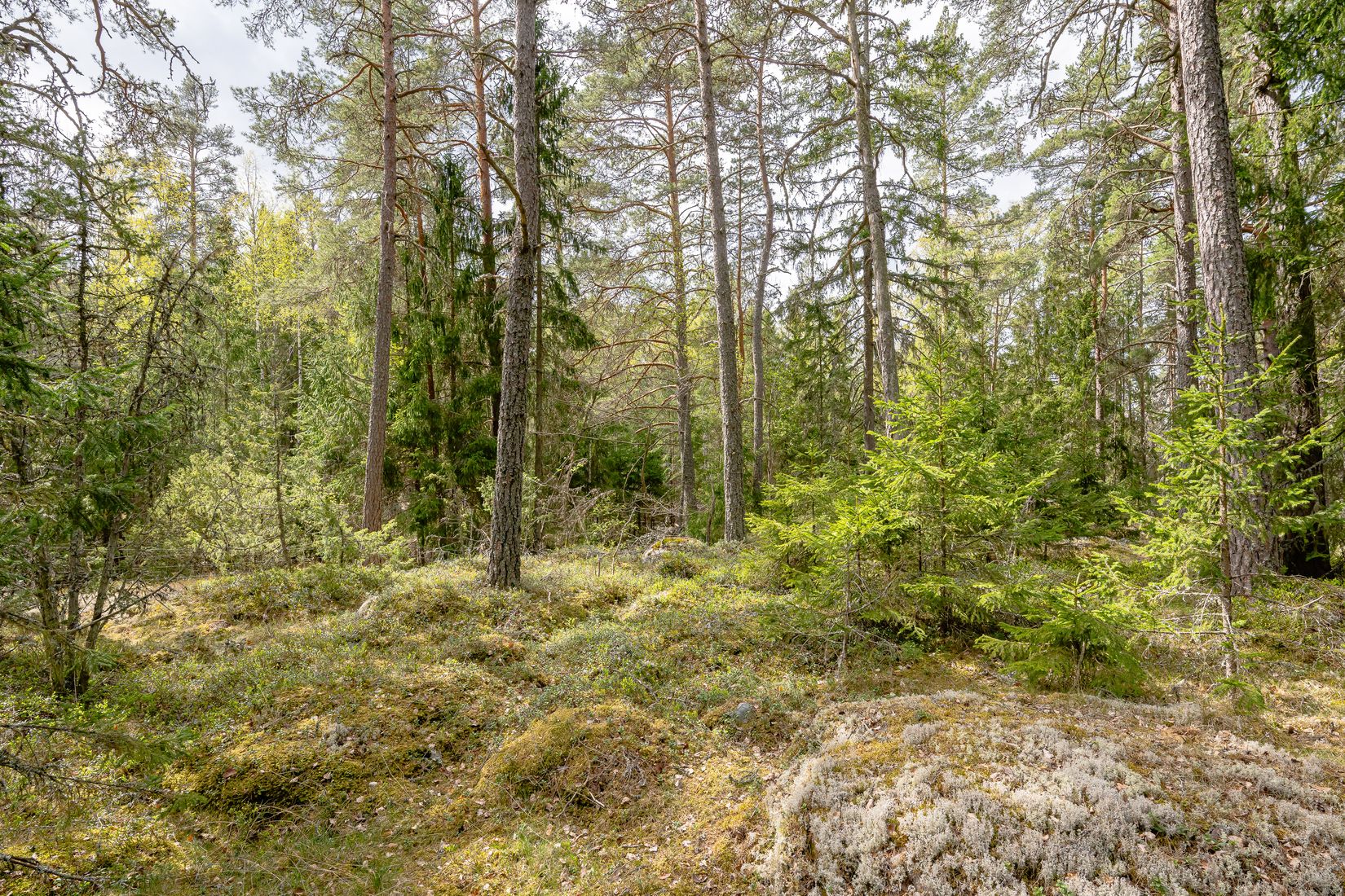 Tomt, Gnesta, Lantligt, Gnesta