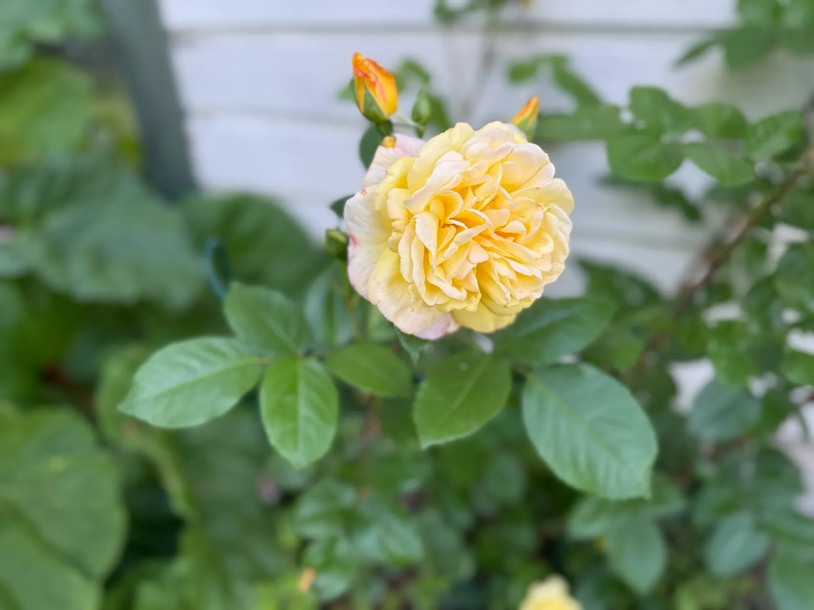 Villa, Fäbodvägen 14, Skokloster, Håbo