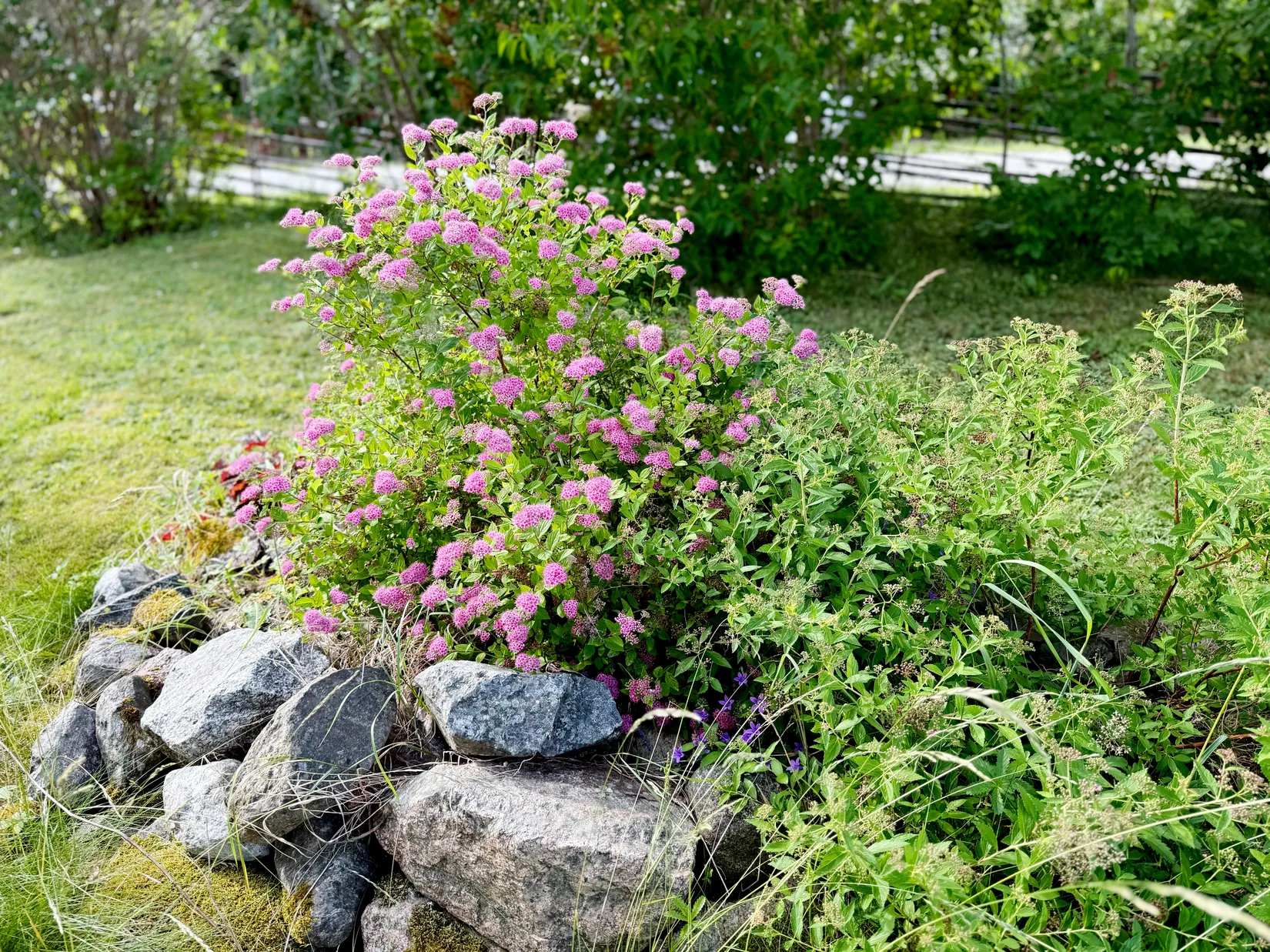 Villa, Fäbodvägen 14, Skokloster, Håbo