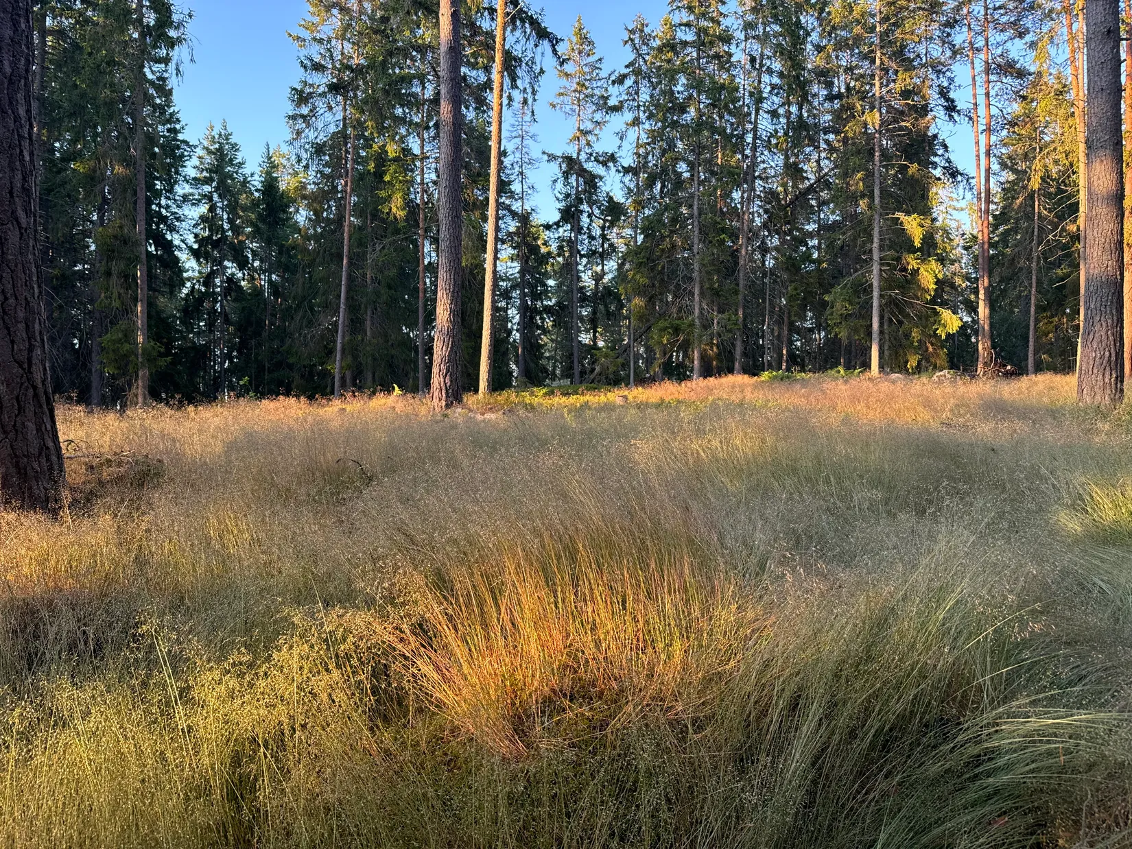 Tomt, Edövägen 10, Svartnö - Furusund, Norrtälje