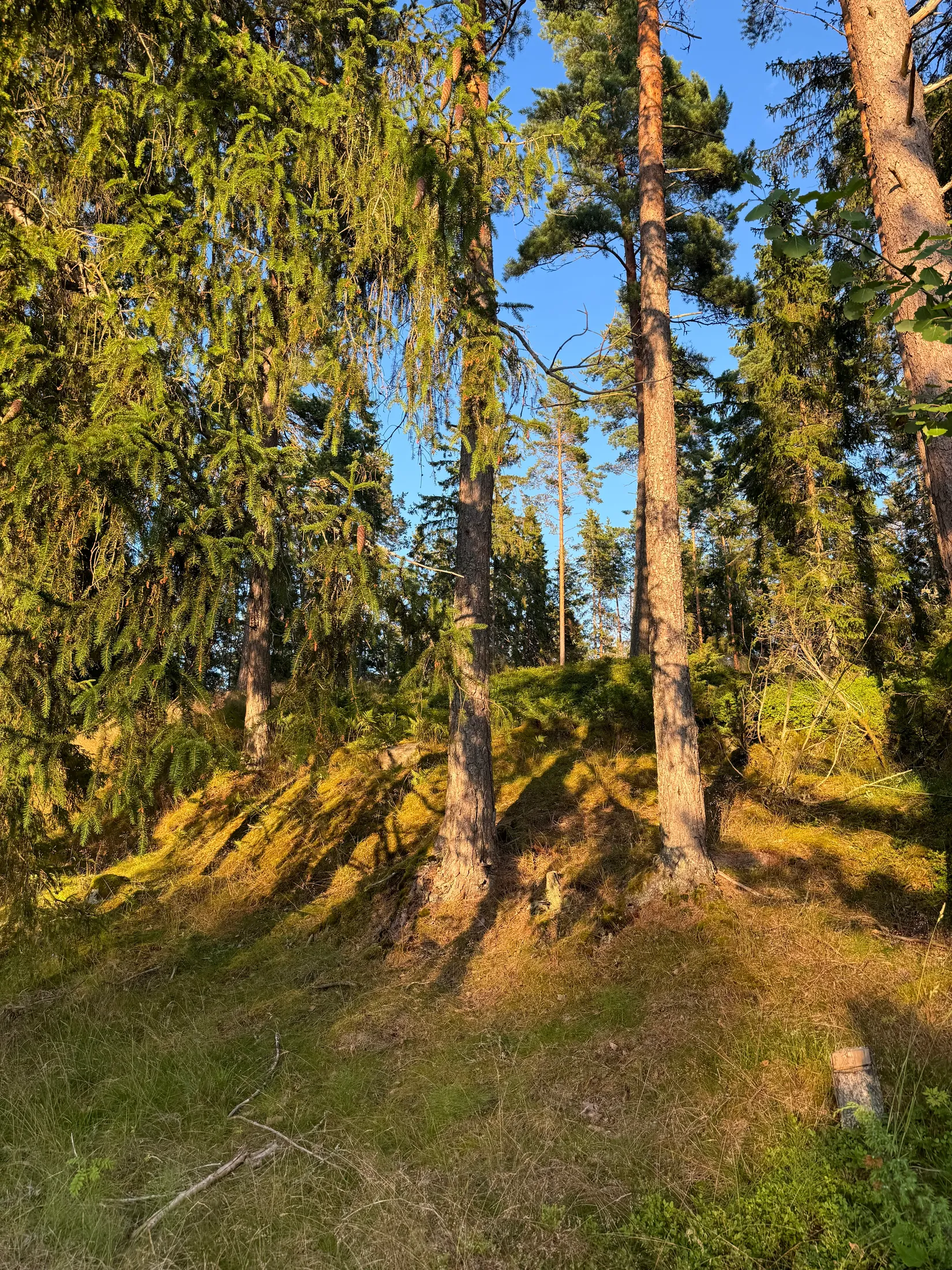 Tomt, Edövägen 10, Svartnö - Furusund, Norrtälje