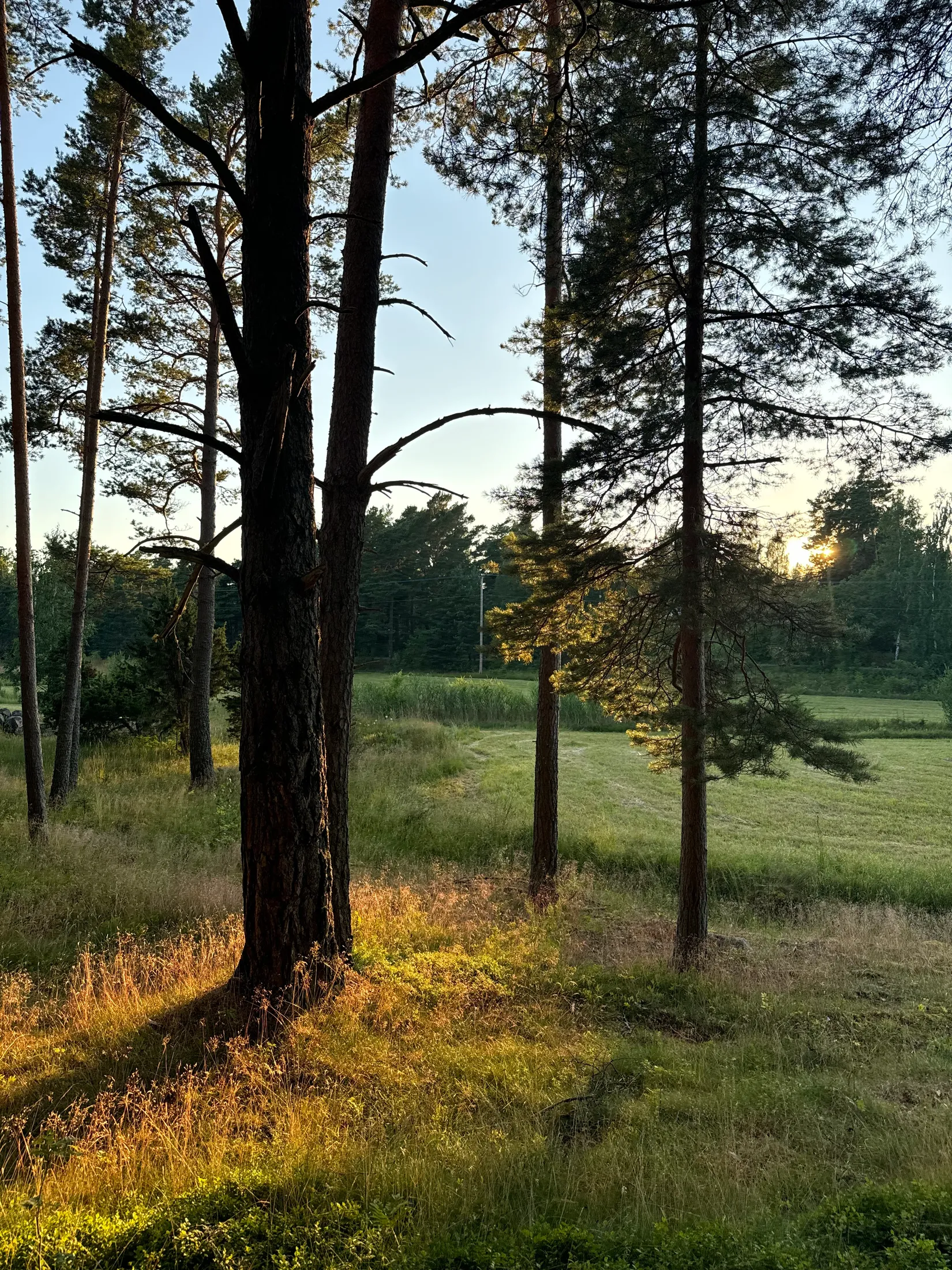 Tomt, Edövägen 10, Svartnö - Furusund, Norrtälje