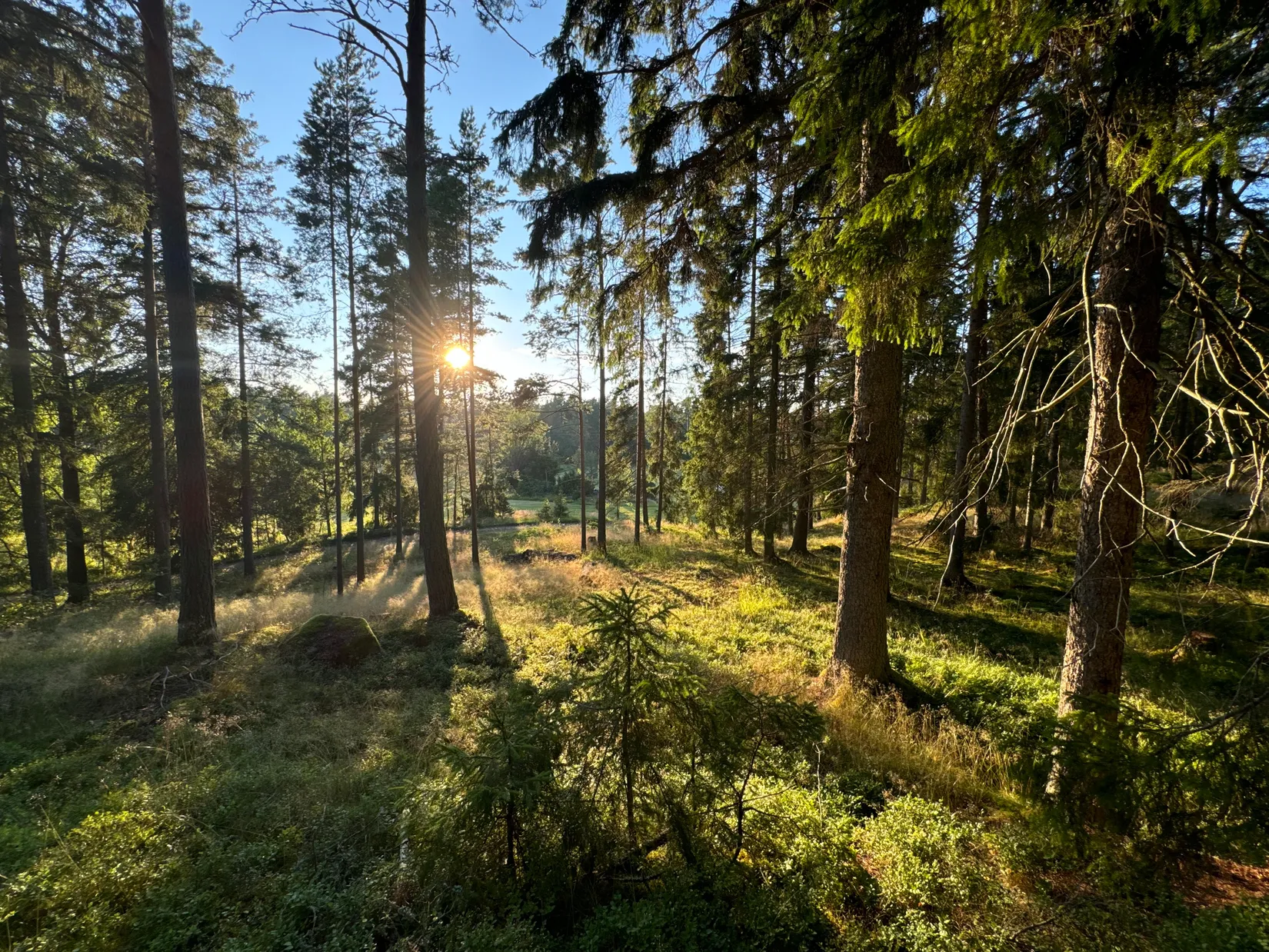 Tomt, Edövägen 10, Svartnö - Furusund, Norrtälje