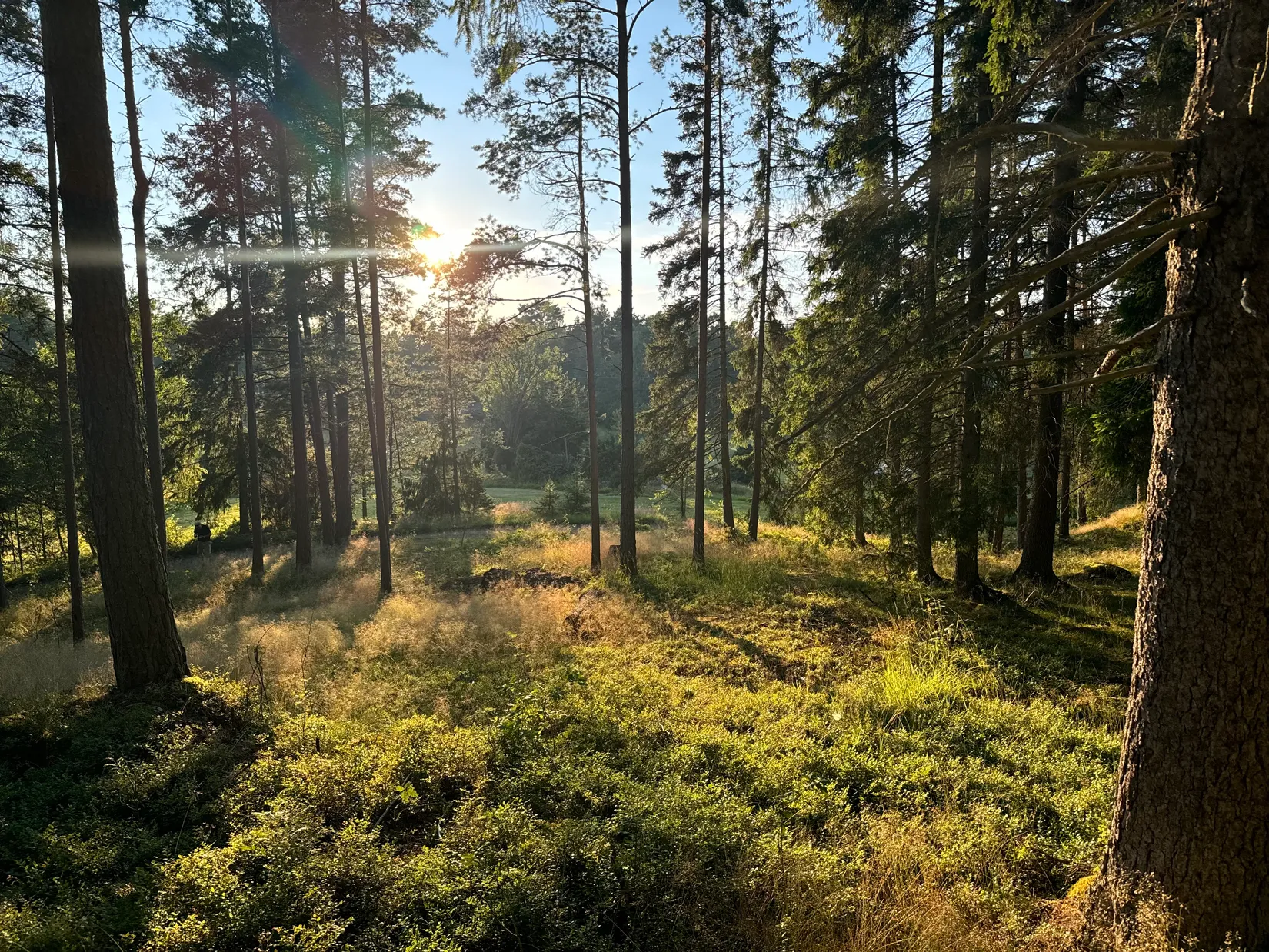 Tomt, Edövägen 10, Svartnö - Furusund, Norrtälje