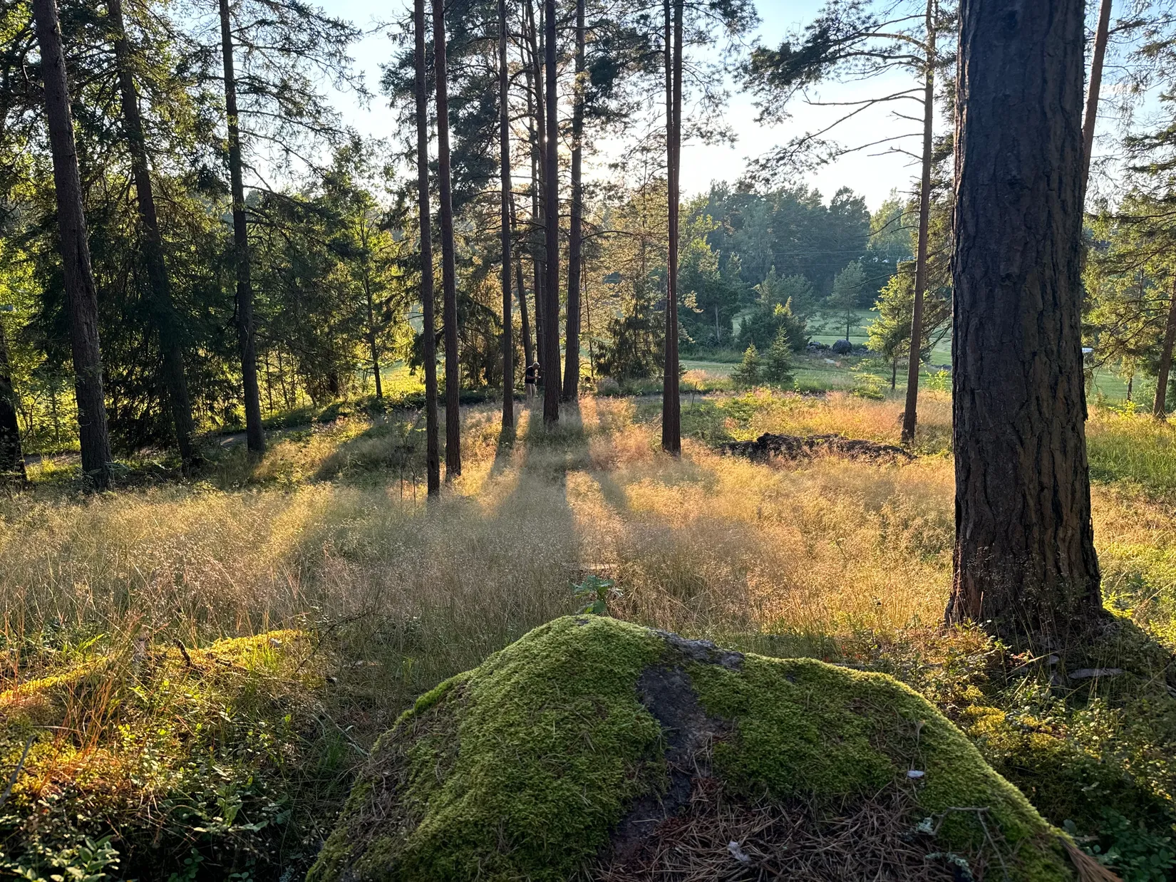 Tomt, Edövägen 10, Svartnö - Furusund, Norrtälje