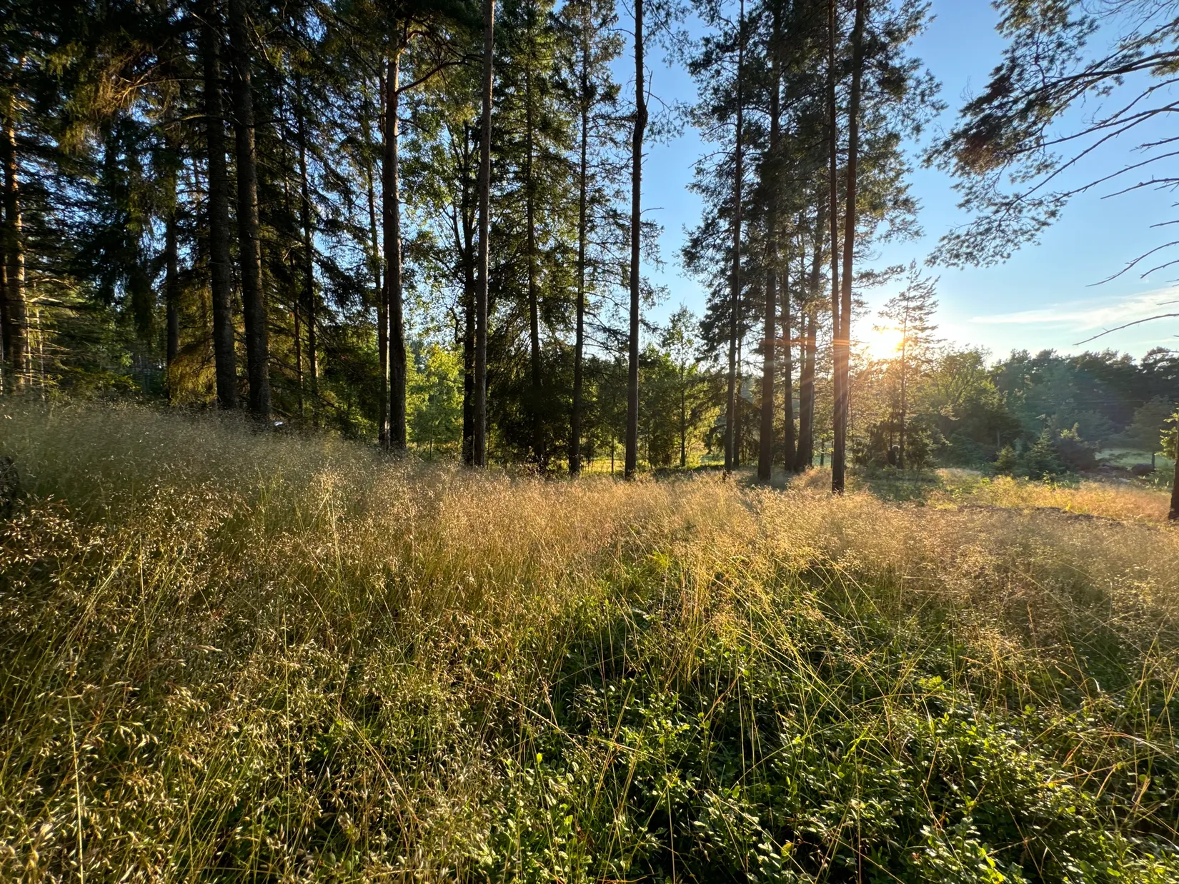 Tomt, Edövägen 10, Svartnö - Furusund, Norrtälje