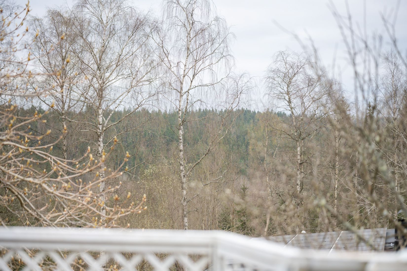 Villa, Fasanvägen 2, Ekås, Borås