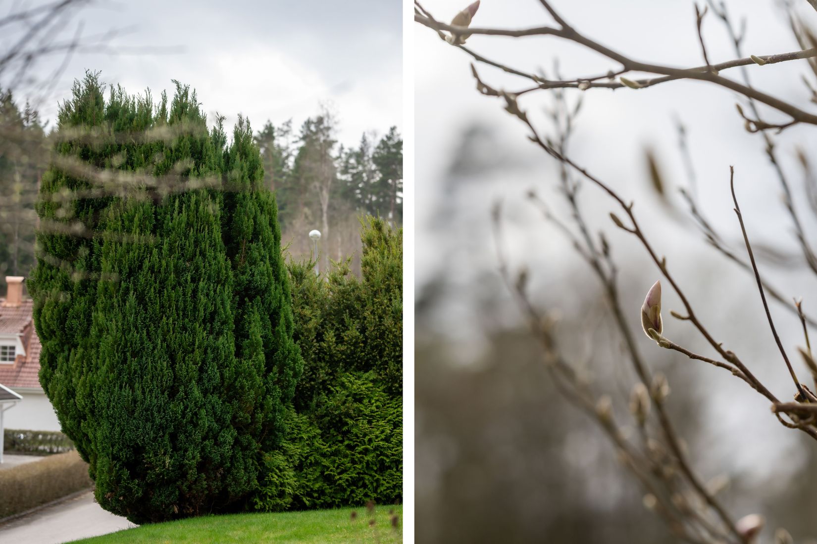 Villa, Fasanvägen 2, Ekås, Borås