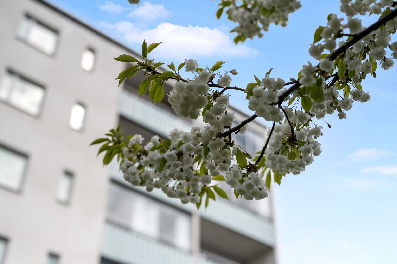 Bostadsrätt, Idrottsgatan 12, Svartbäcken, Uppsala