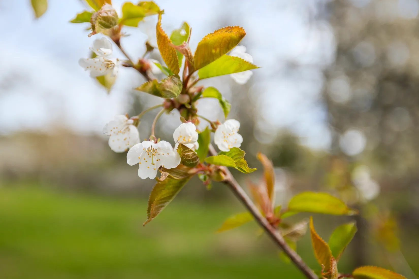 Fritidshus, Hyttavägen 16, Haninge Muskö, Haninge