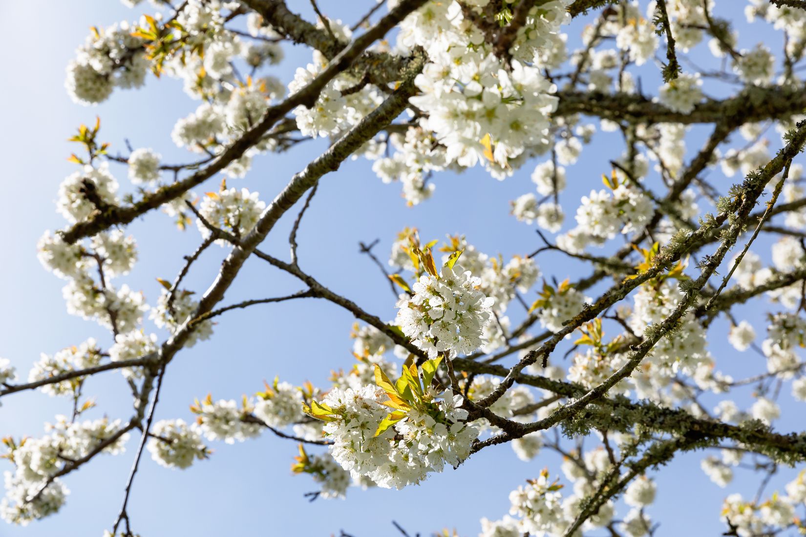 Villa, Lunnavägen 80, Lerkil, Kungsbacka