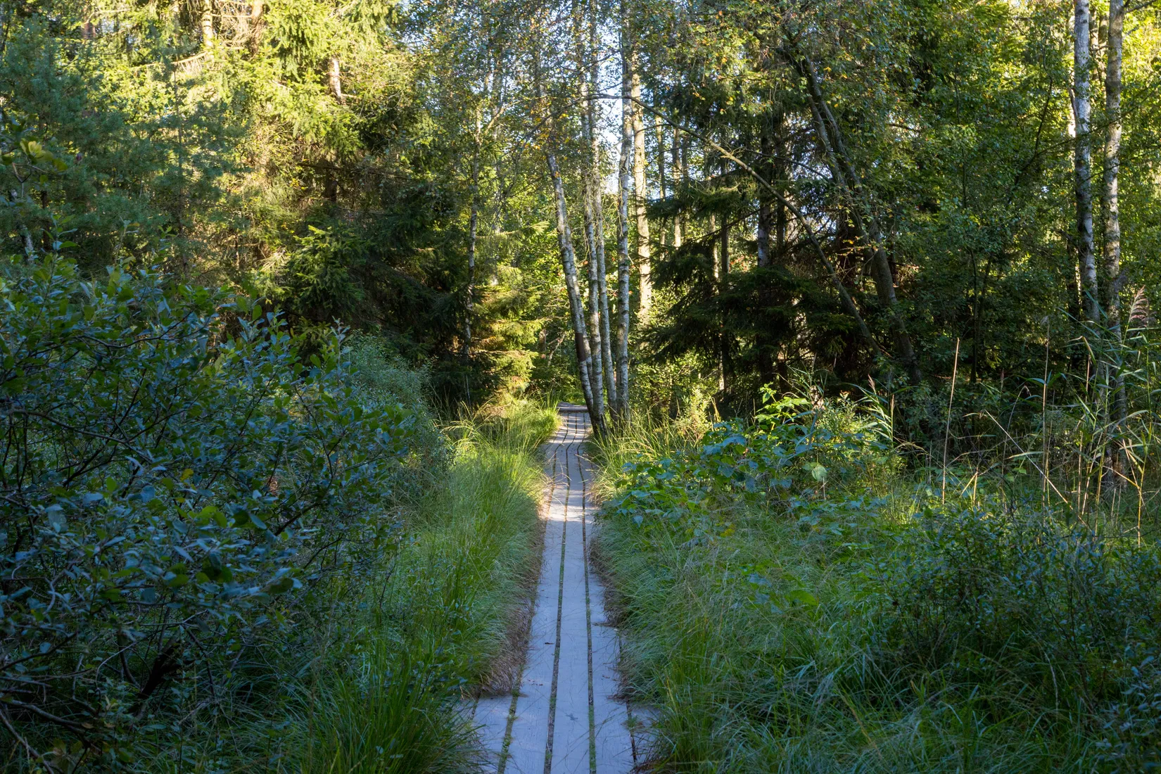 Villa, Grönsångarvägen 3, Landvetter, Härryda