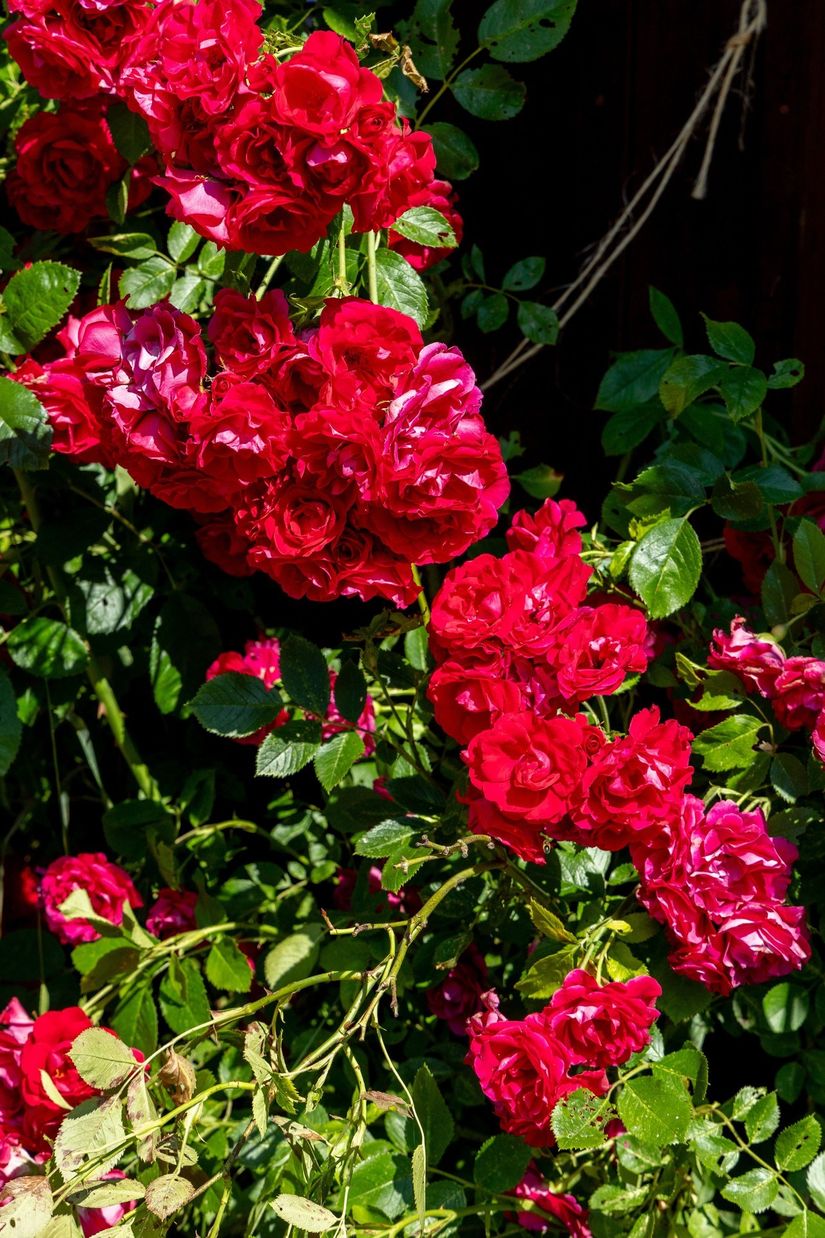 Villa, Möckhult 502, Möckhult, Mönsterås