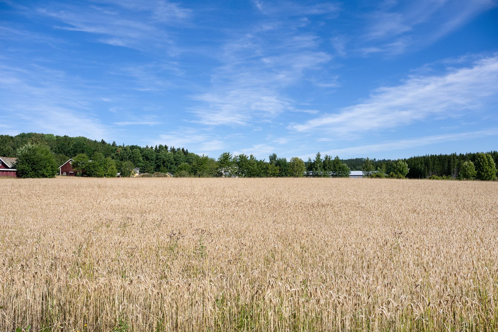 Gård/Skog, Hövik 9, Hövik, Jönköping