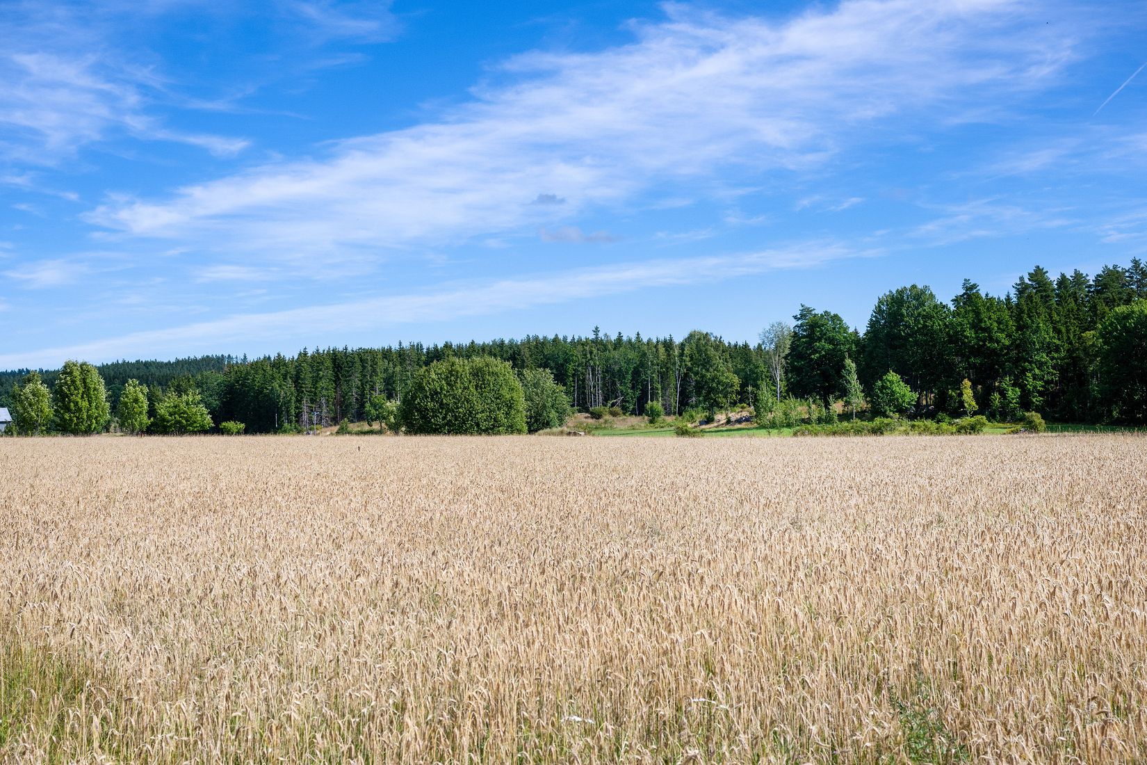 Gård/Skog, Hövik 9, Hövik, Jönköping