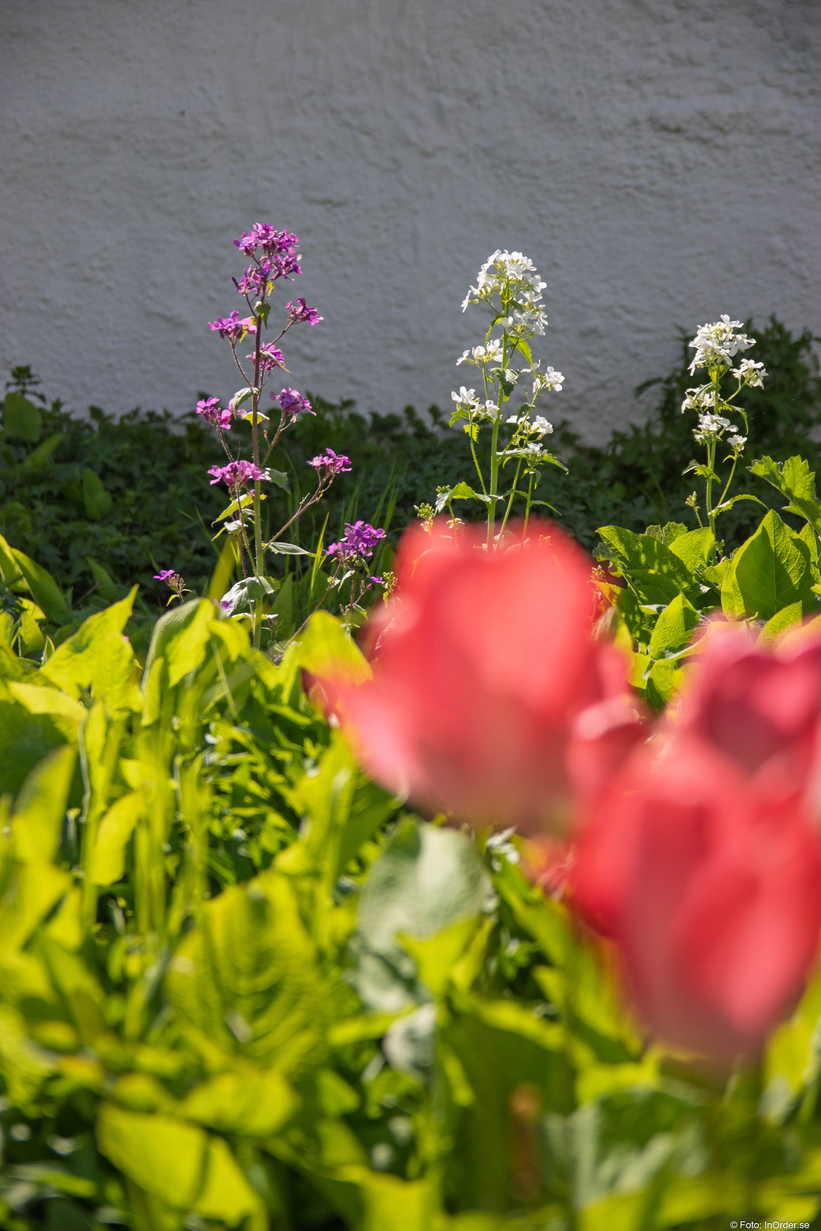 Villa, Södra Näsbyvägen 7, Näsby, Sjöbo