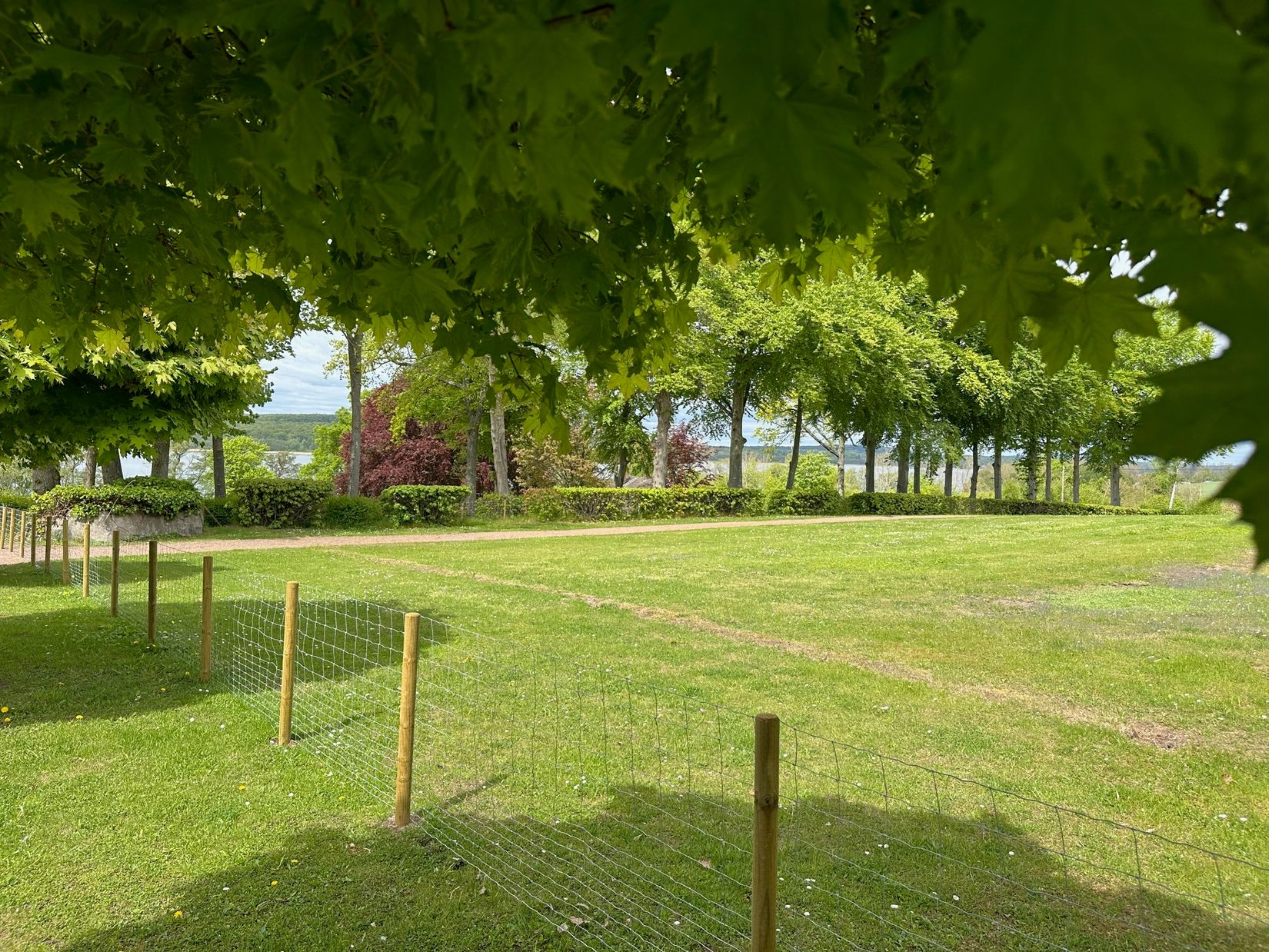 Tomt, Arkelstorpsvägen 41A, Balsviks Park, Kristianstad