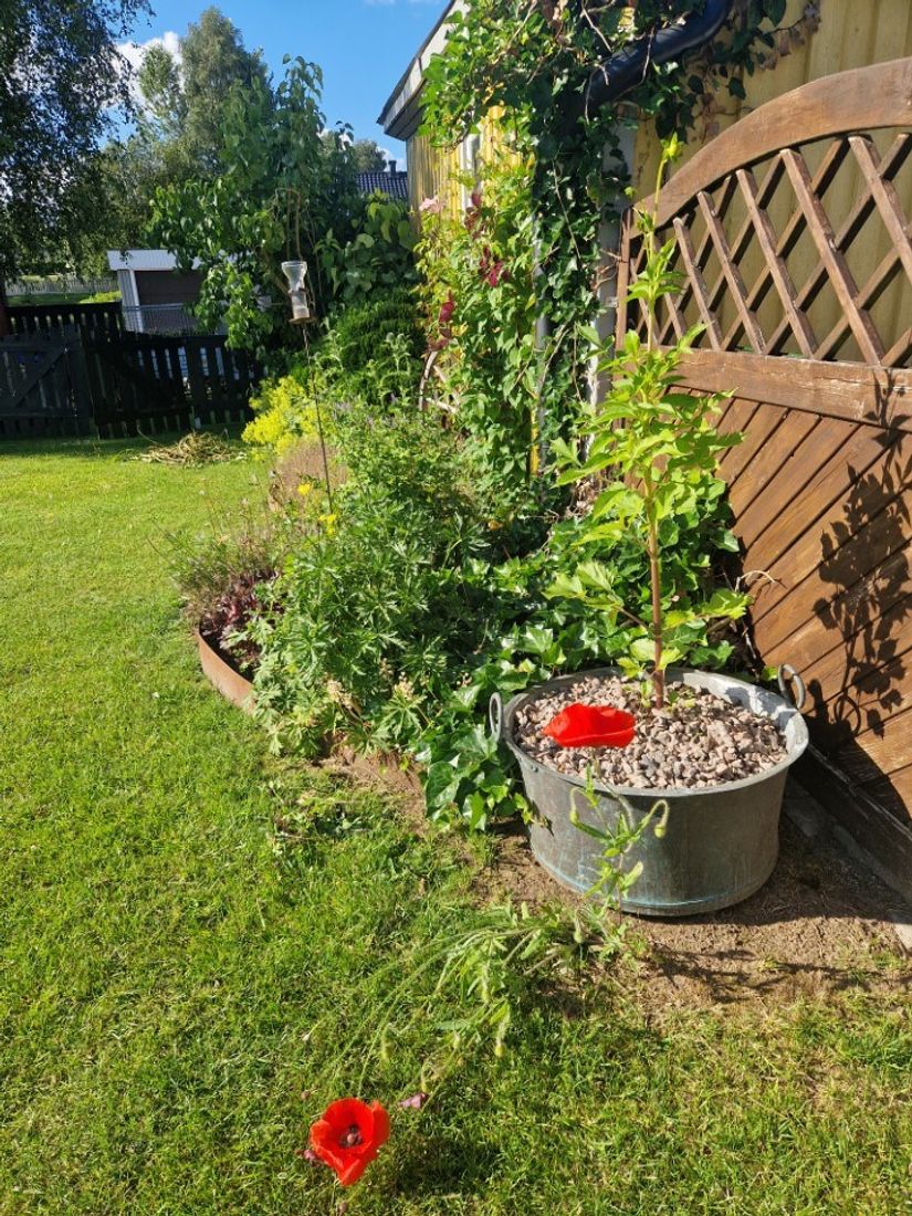 Villa, Kilgatan 4, Hylte