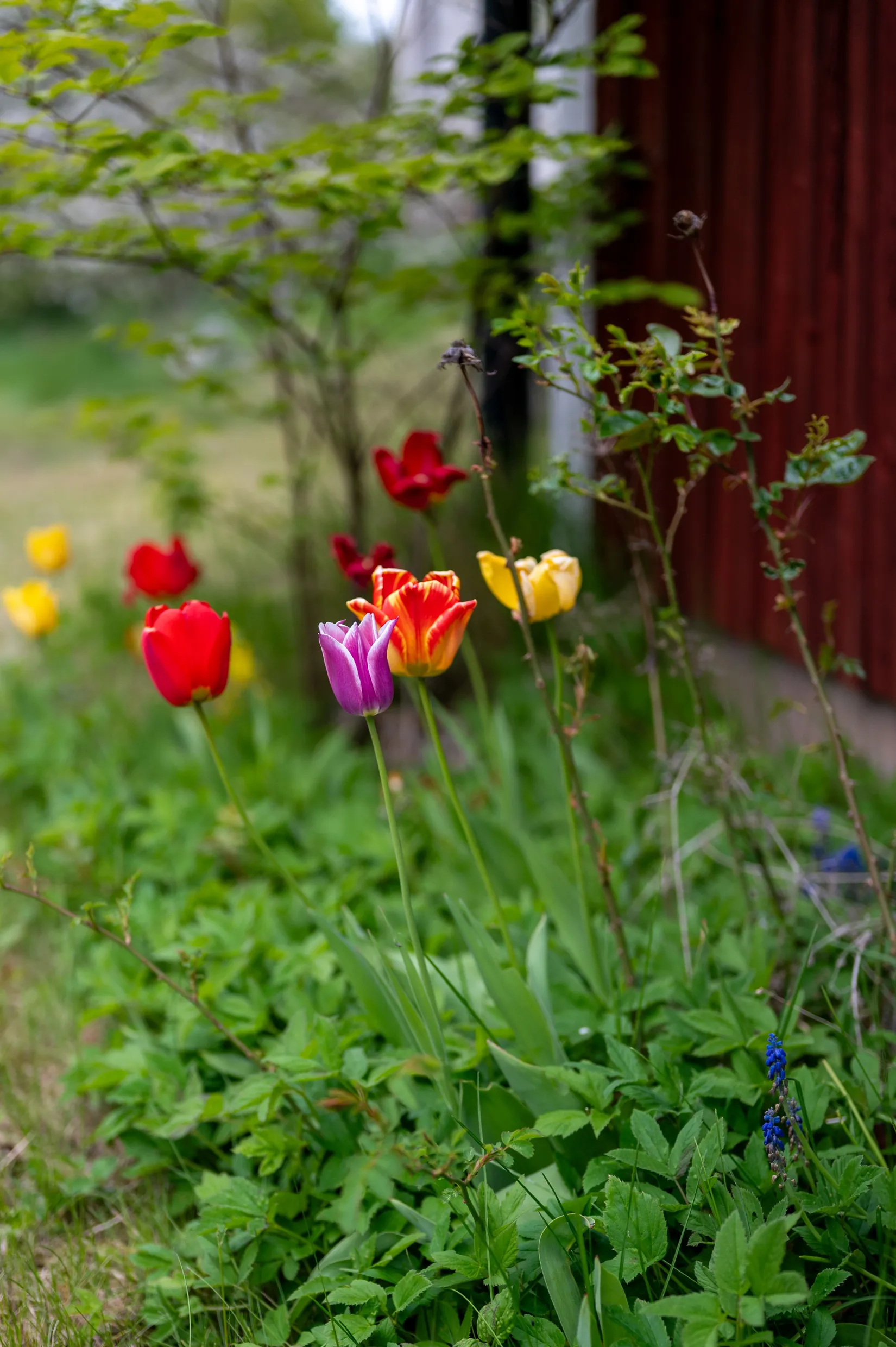 Fritidshus, Gistad Asplund 1, Gistad, Linköping