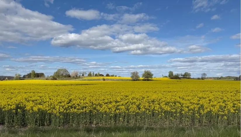 Fritidshus, Gistad Asplund 1, Gistad, Linköping