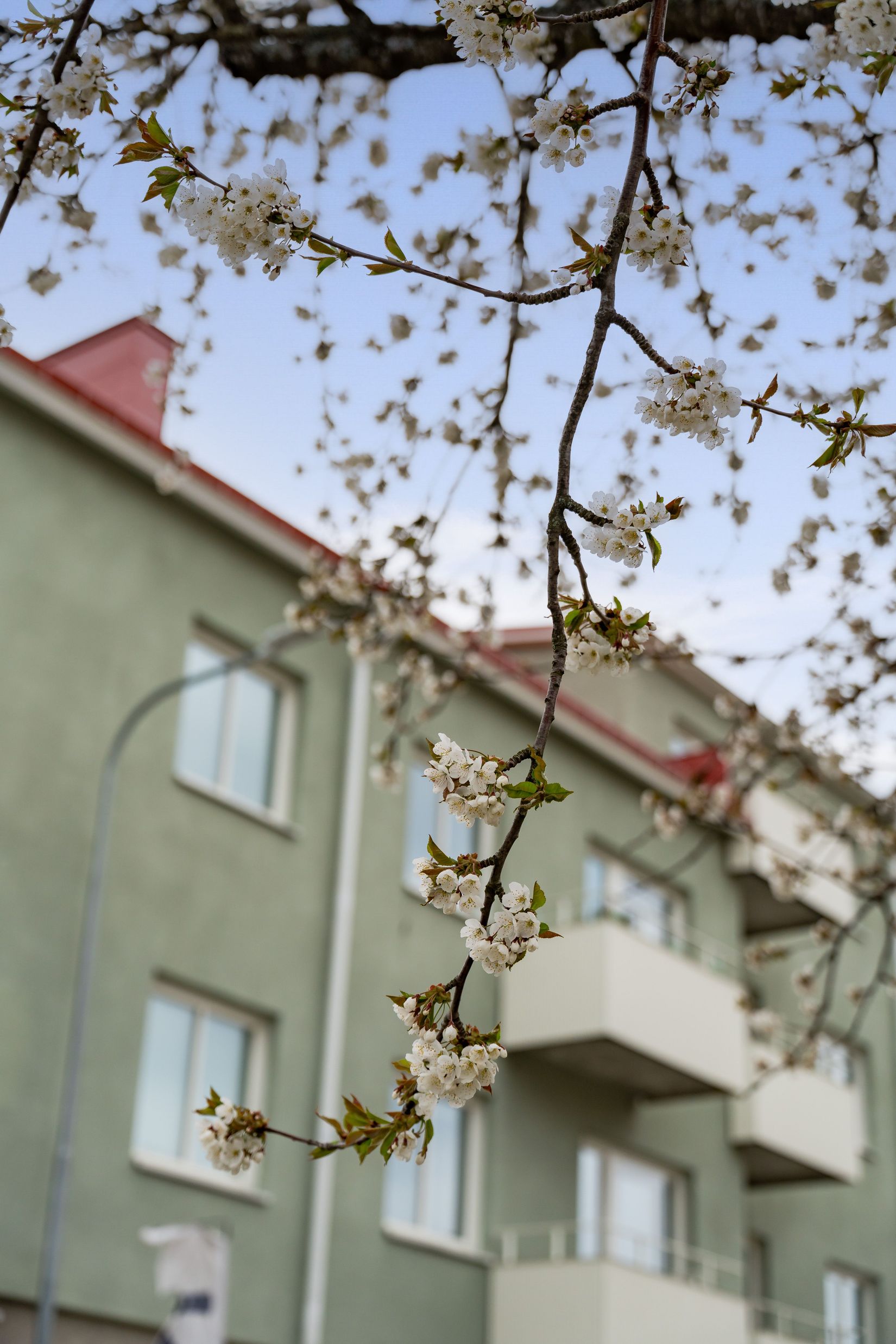 Bostadsrätt, Fålhagsleden 2D, Fålhagen, Uppsala