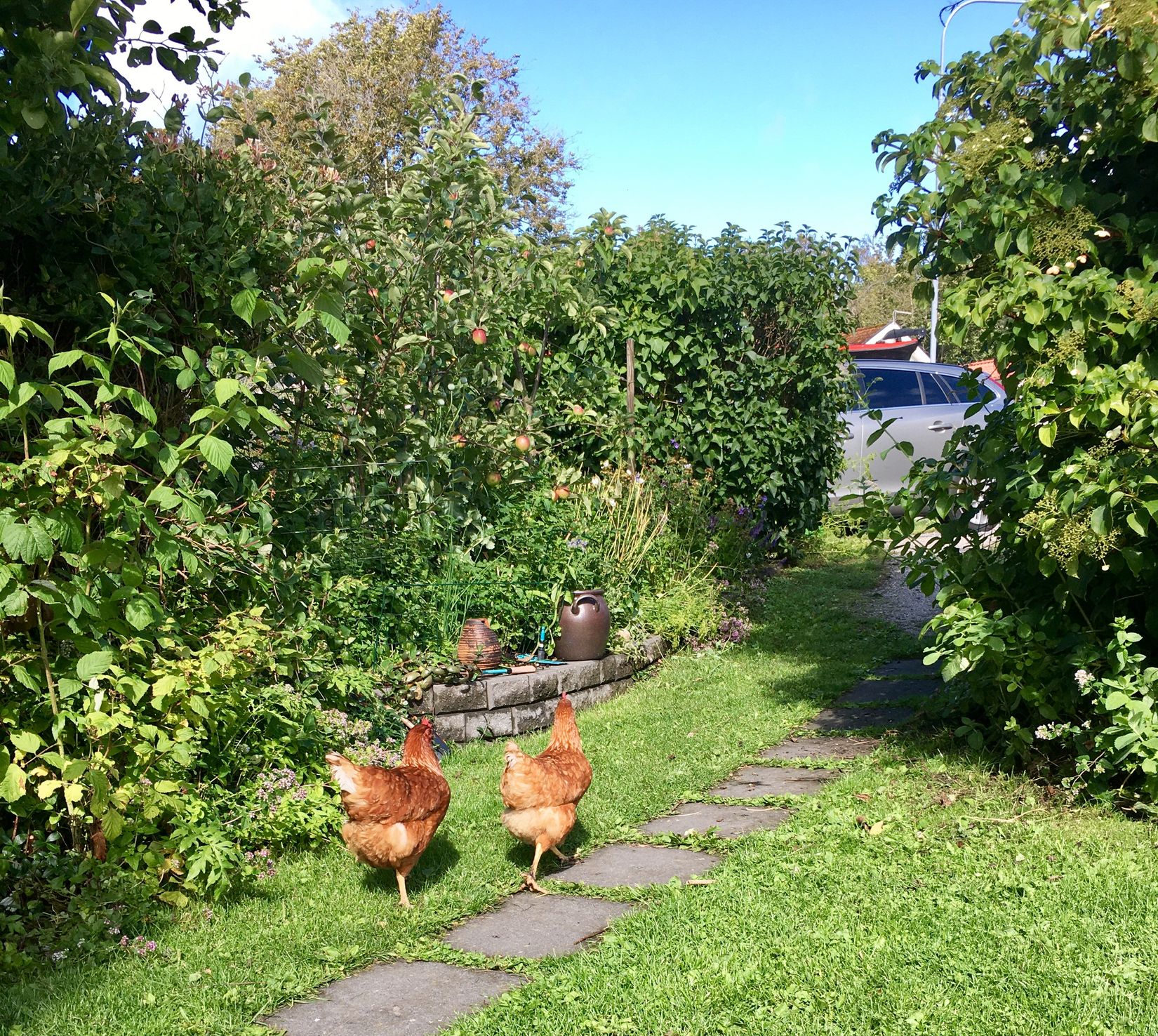 Villa, Surbrunnsgatan 39C, Strömstad