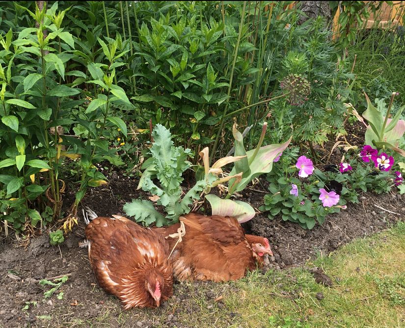 Villa, Surbrunnsgatan 39C, Strömstad