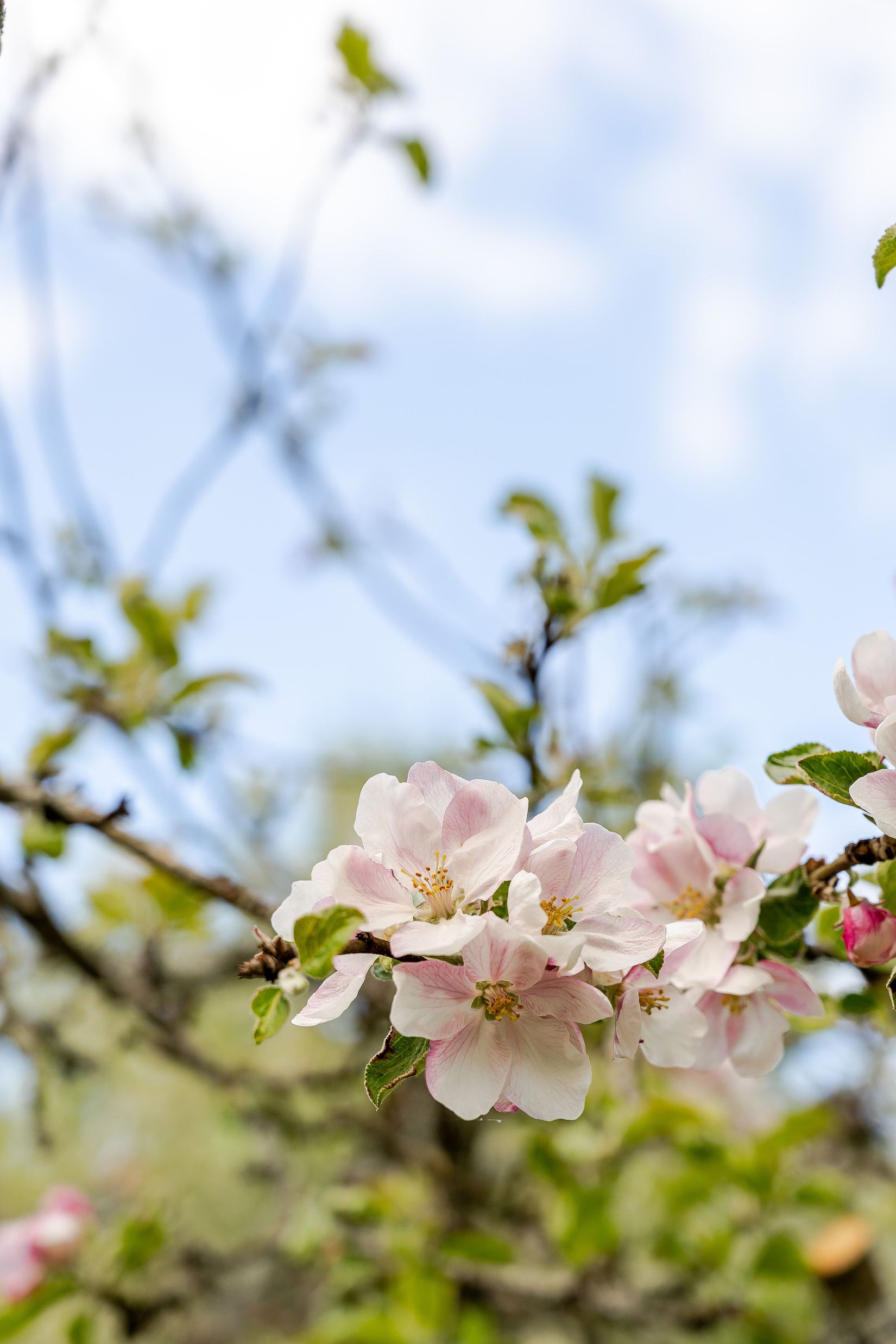 Villa, Sandviksvägen 28C, Björkvik, Katrineholm