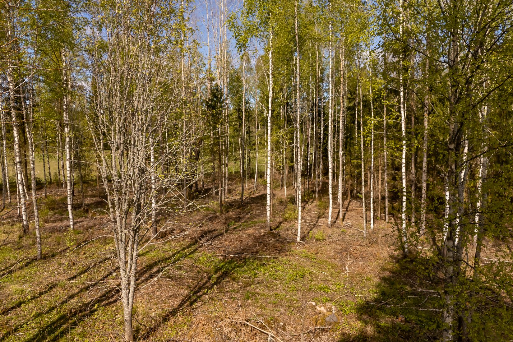 Tomt, Mellsjö 832, Mellsjö vid Gapern, Karlstad