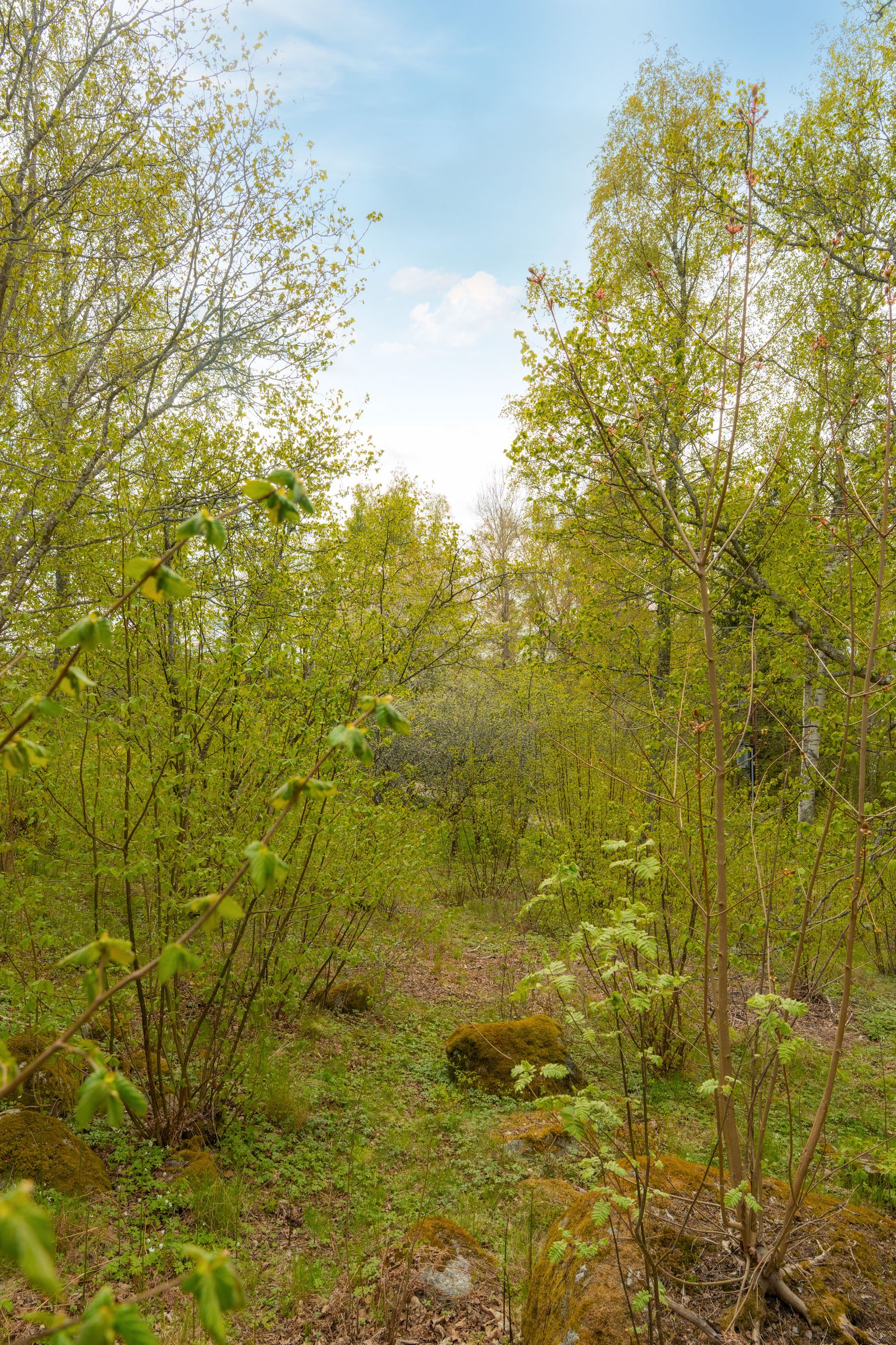 Fritidshus, Smedstorp Utsikten 1, Bettna Husby-Oppunda, Nyköping