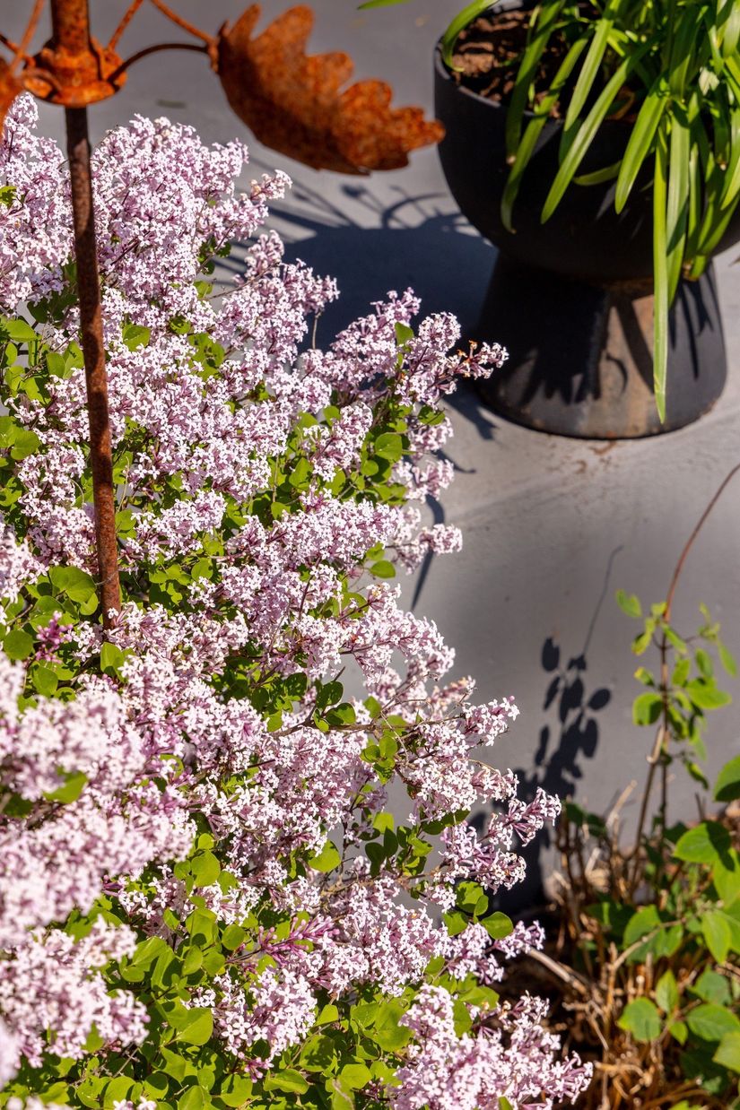 Villa, Djupsjövägen 3, Fårbo, Oskarshamn