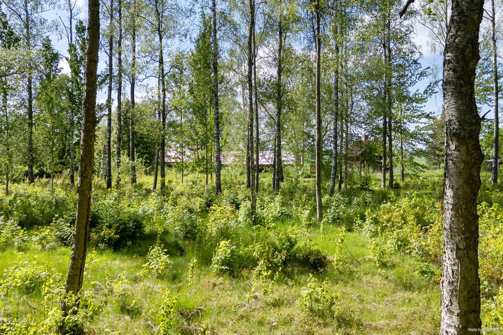 Tomt, Ralagatan, Kumla