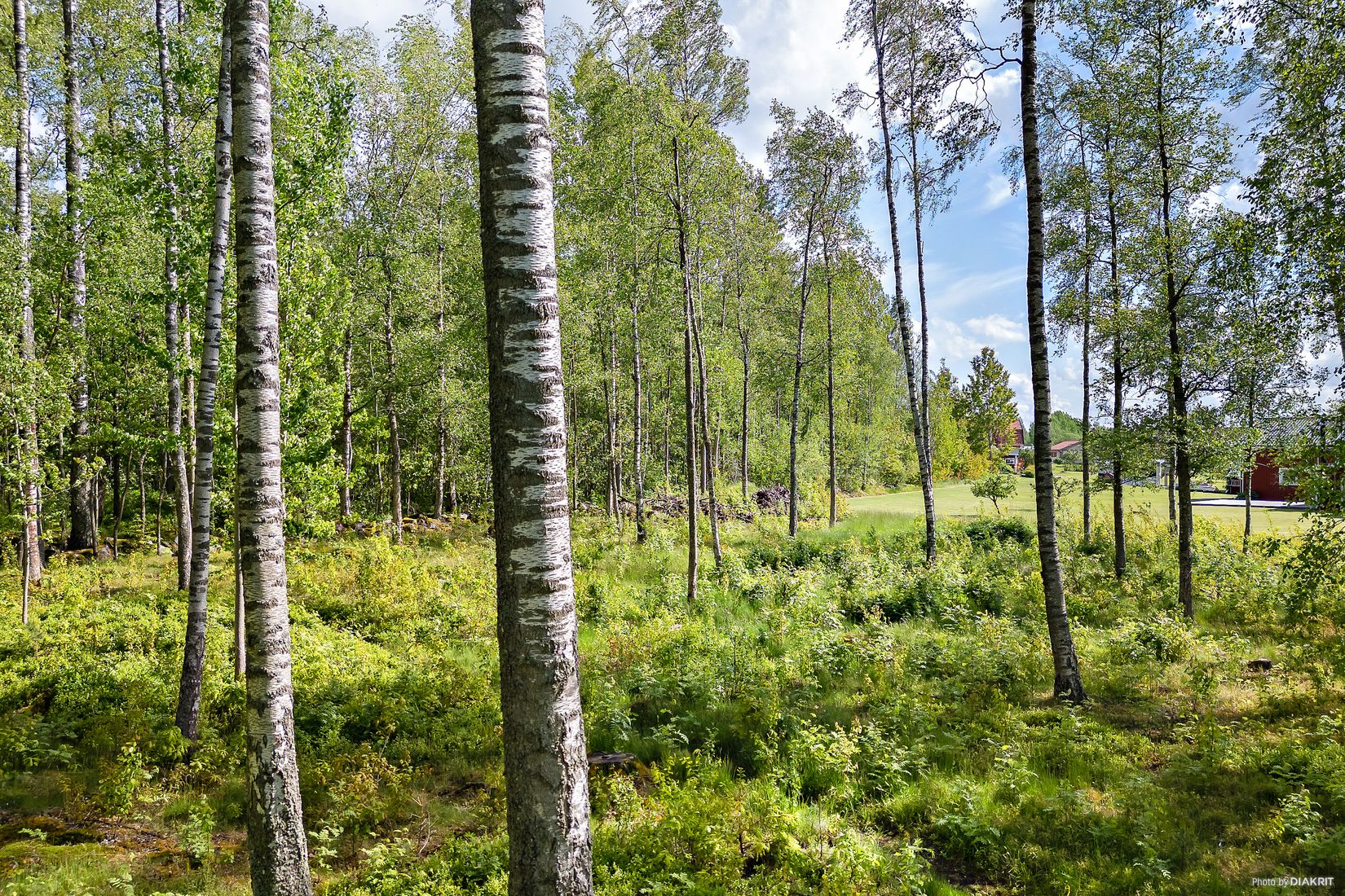 Tomt, Ralagatan, Kumla