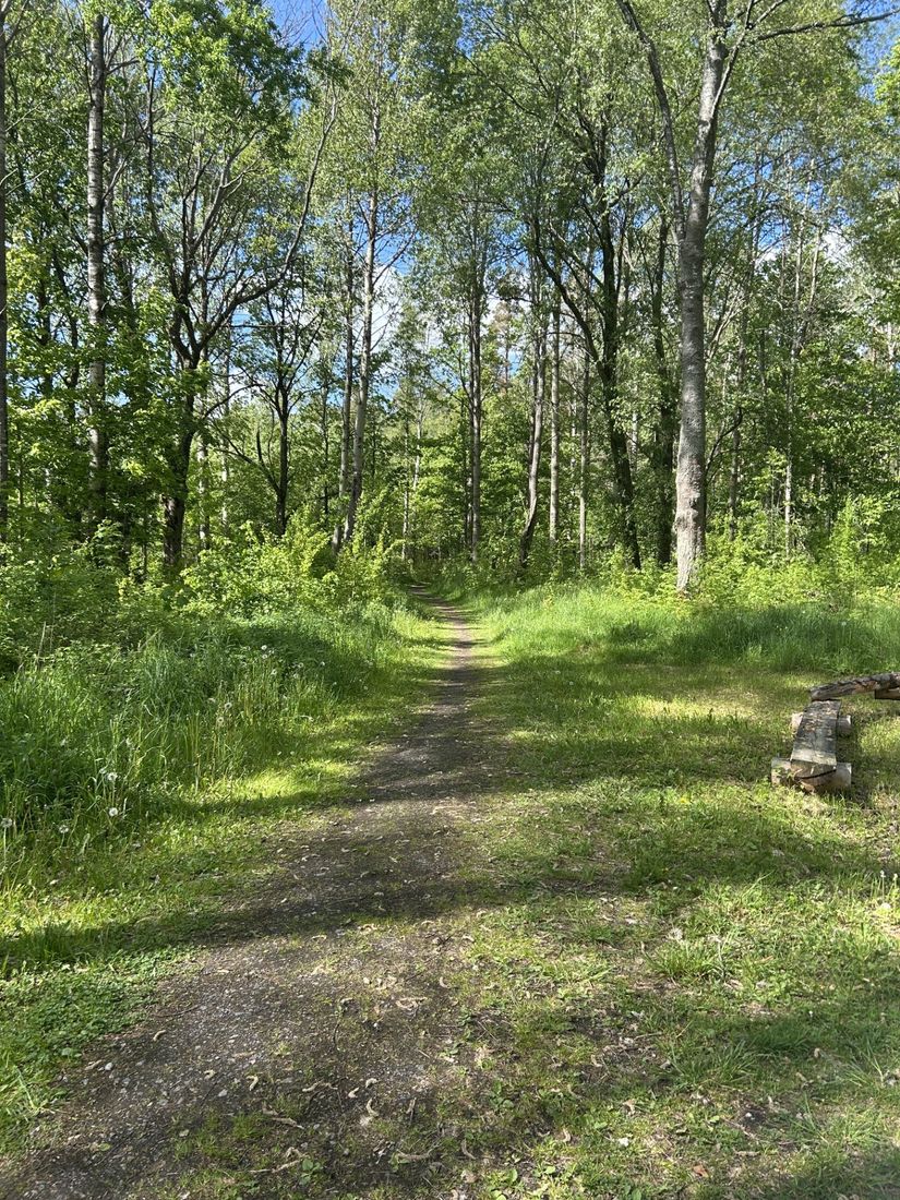 Tomt, Ralagatan, Kumla