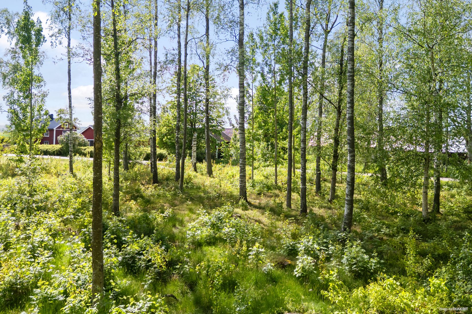 Tomt, Ralagatan, Kumla