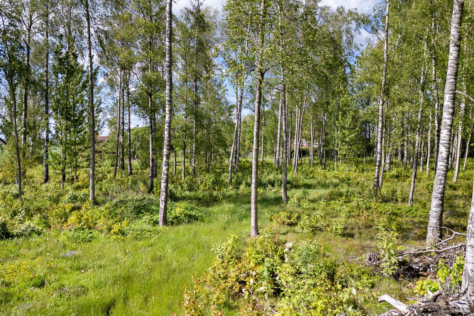 Tomt, Ralagatan, Kumla