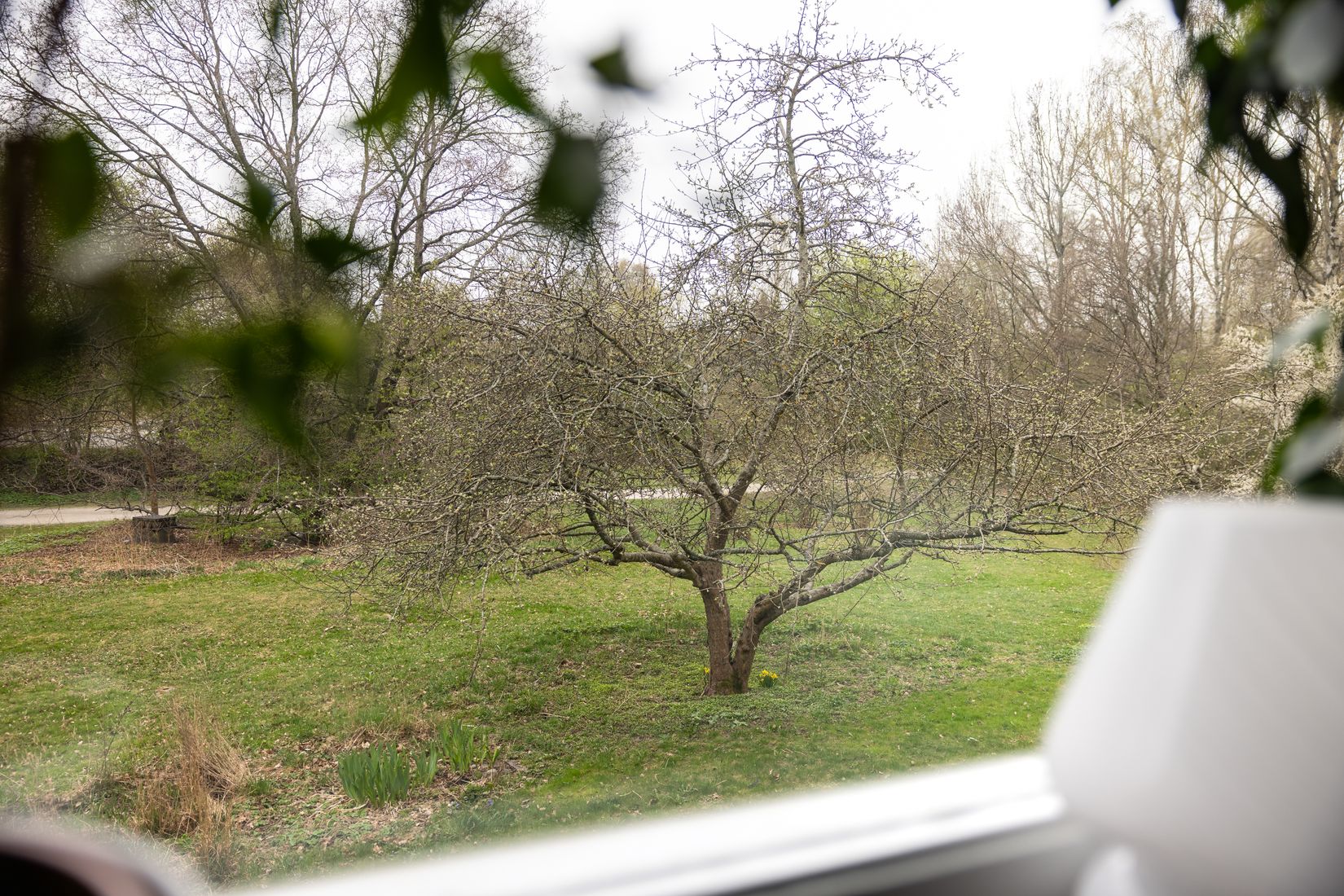 Bostadsrätt, Paternostervägen 100, Hammarbyhöjden, Stockholm