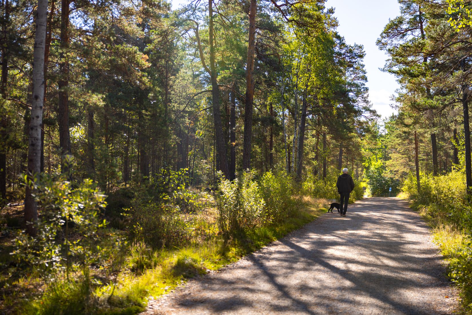 Bostadsrätt, Paternostervägen 100, Hammarbyhöjden, Stockholm